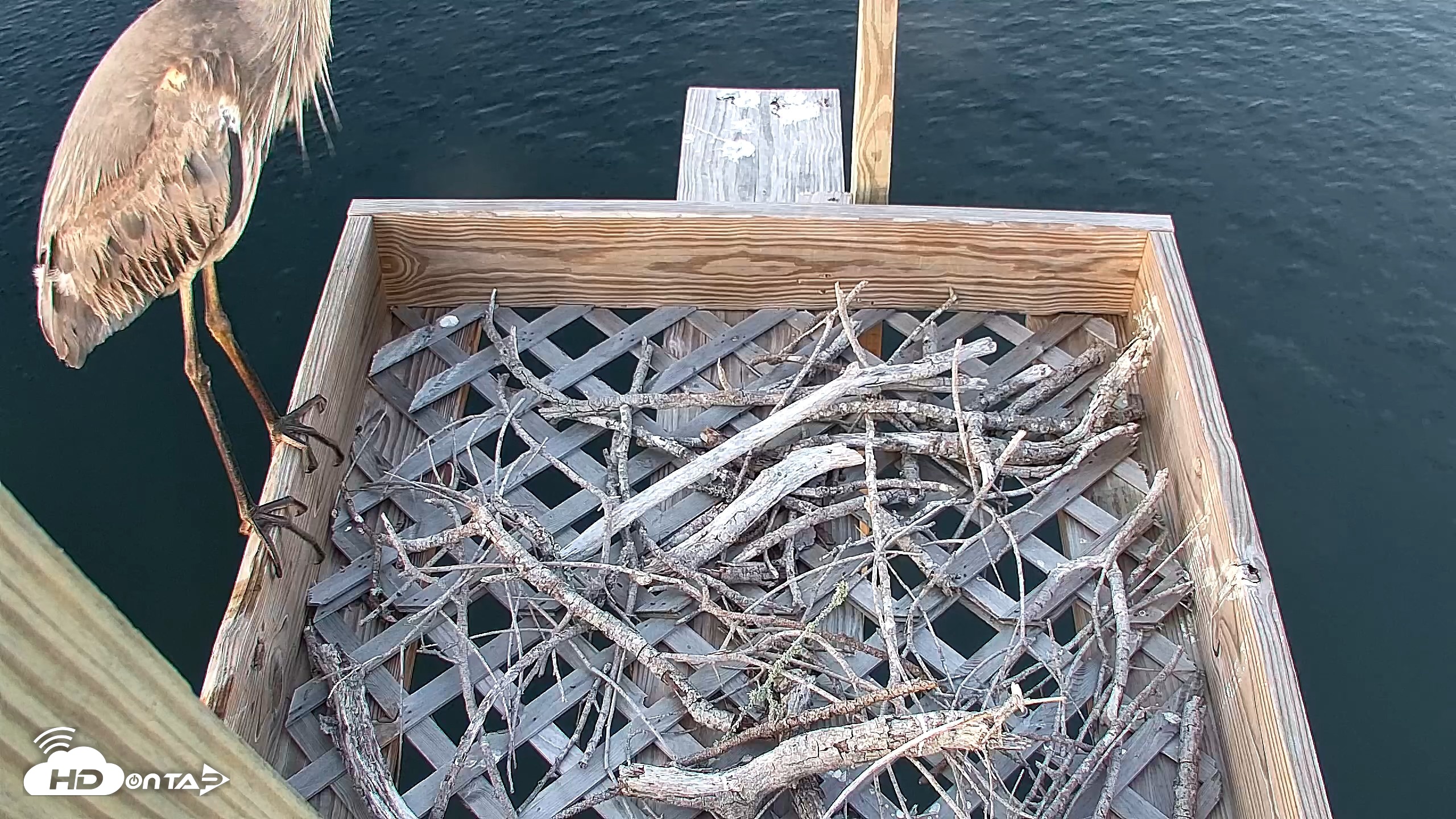 Snapshot of Bay Point Marina Ospreys taken Apr 23, 2026, 7:13pm CDT