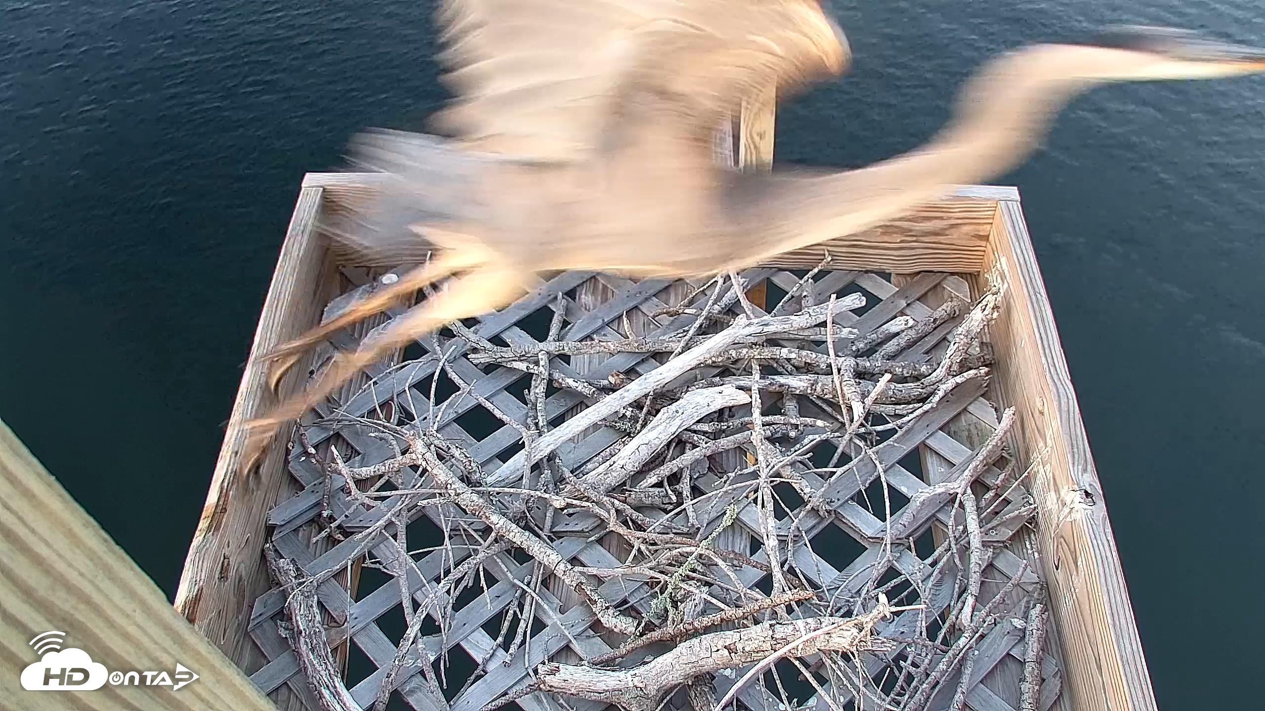 Snapshot of Bay Point Marina Ospreys taken Apr 23, 2026, 7:13pm CDT