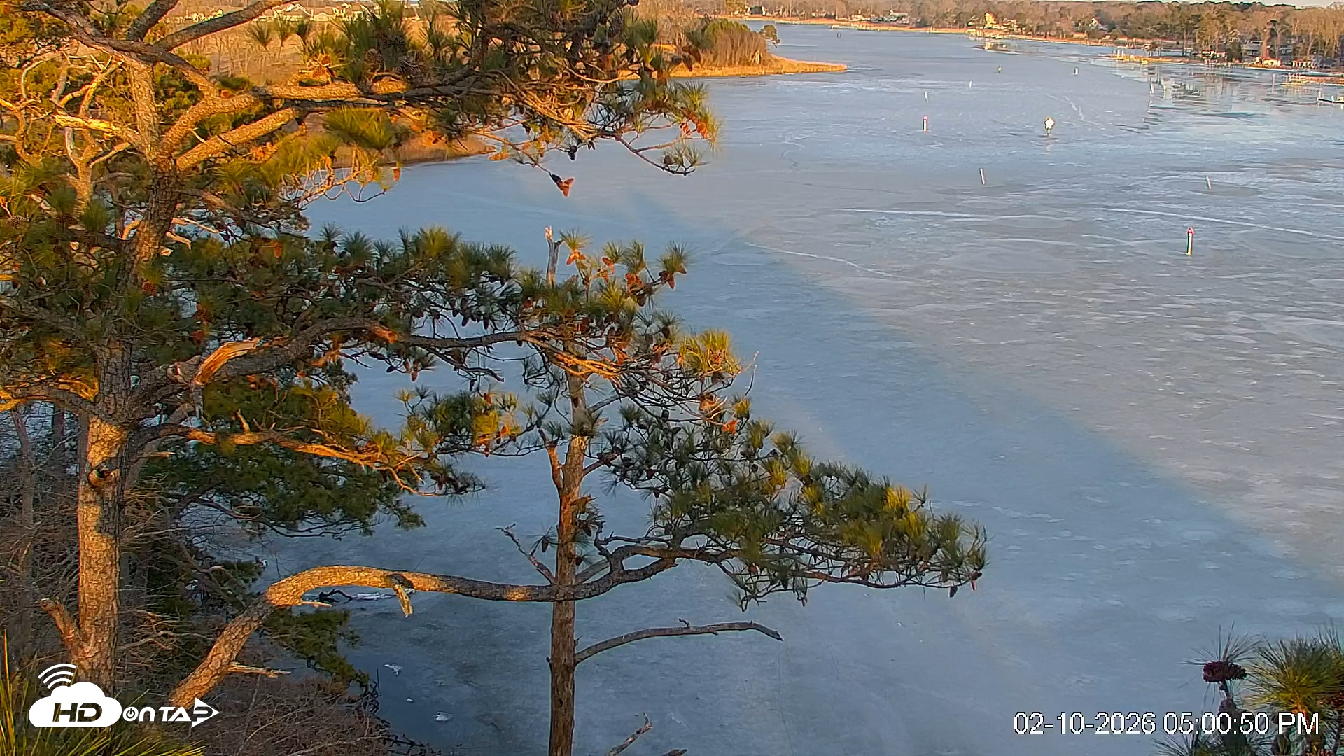 Snapshot of Delaware Botanic Gardens Eagles Live Cams taken Feb 10, 2026, 5:01pm EST