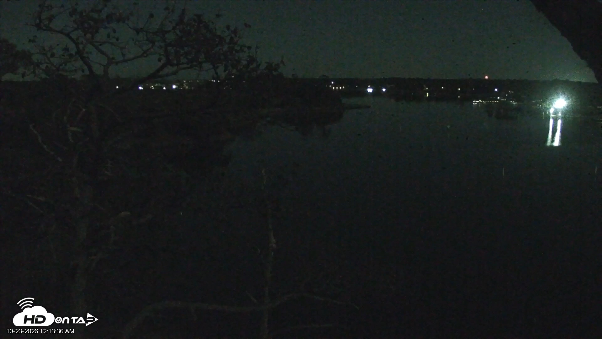Snapshot of Delaware Botanic Gardens Eagles Live Cams taken Oct 23, 2026, 12:14am EDT