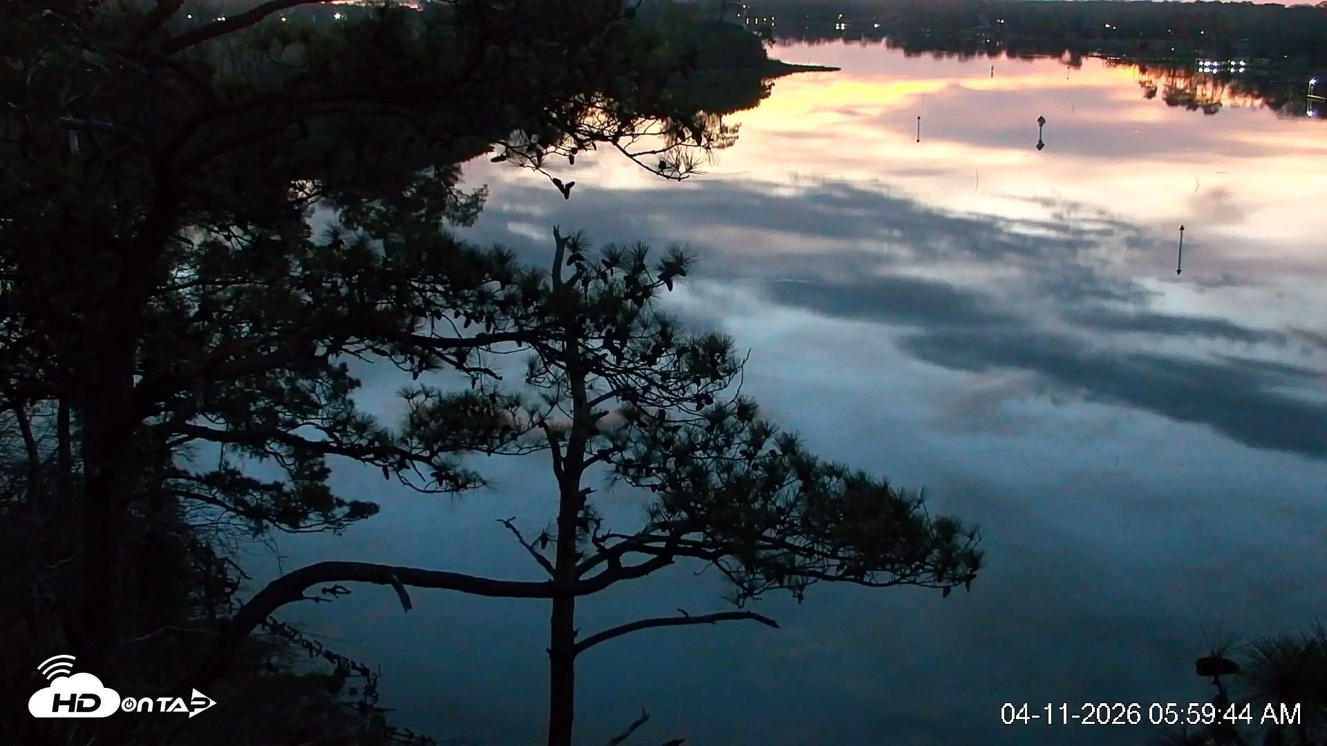 Snapshot of Delaware Botanic Gardens Eagles Live Cams taken Apr 11, 2026, 6:00am EDT