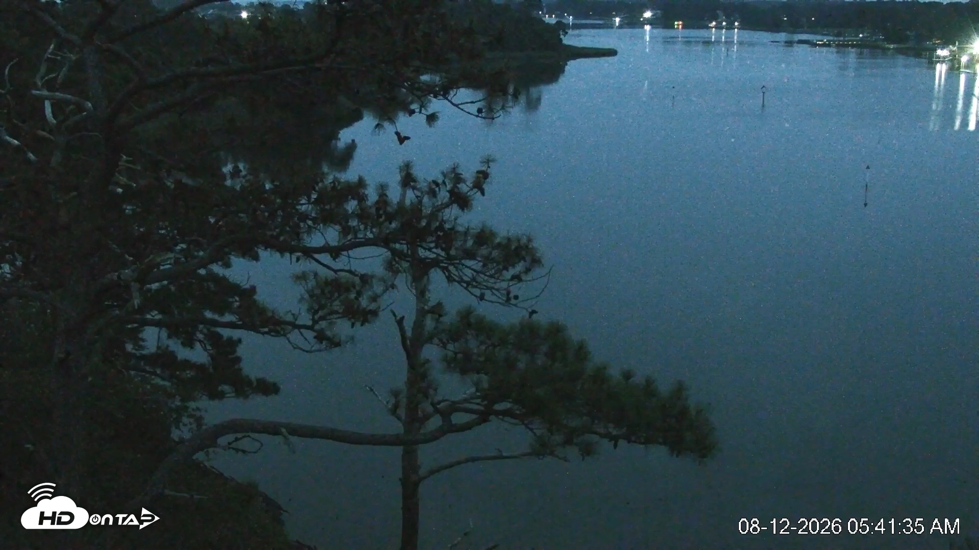 Snapshot of Delaware Botanic Gardens Eagles Live Cams taken Aug 12, 2026, 5:42am EDT