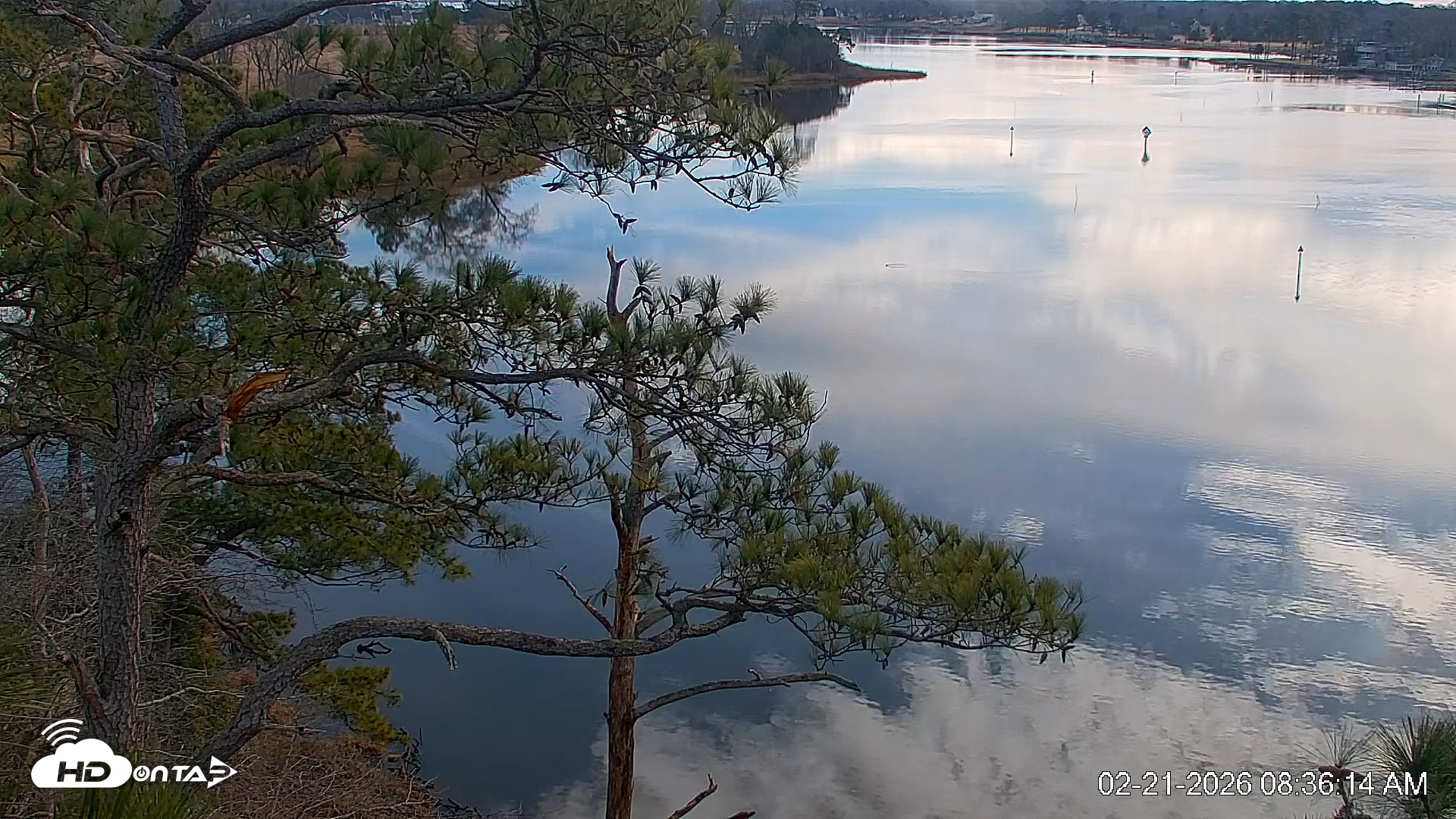 Snapshot of Delaware Botanic Gardens Eagles Live Cams taken Feb 21, 2026, 8:36am EST