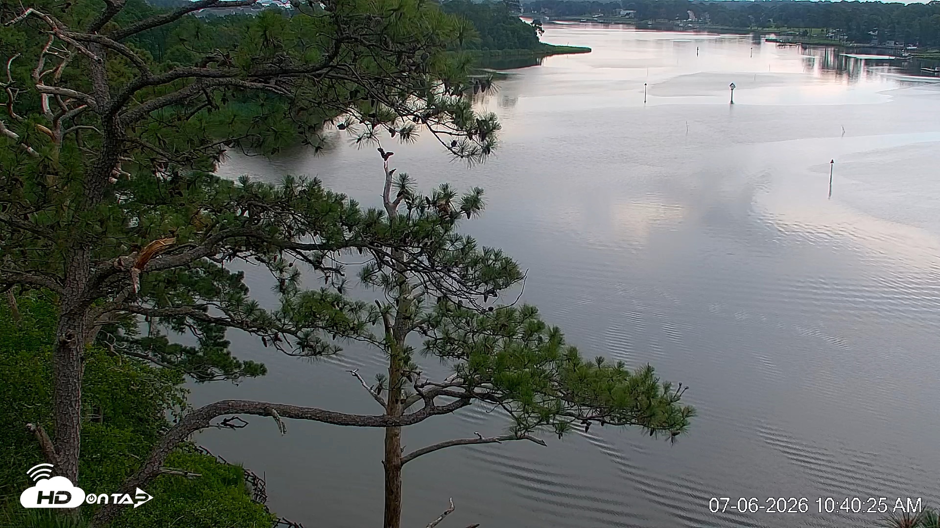 Snapshot of Delaware Botanic Gardens Eagles Live Cams taken Jul 6, 2026, 10:41am EDT