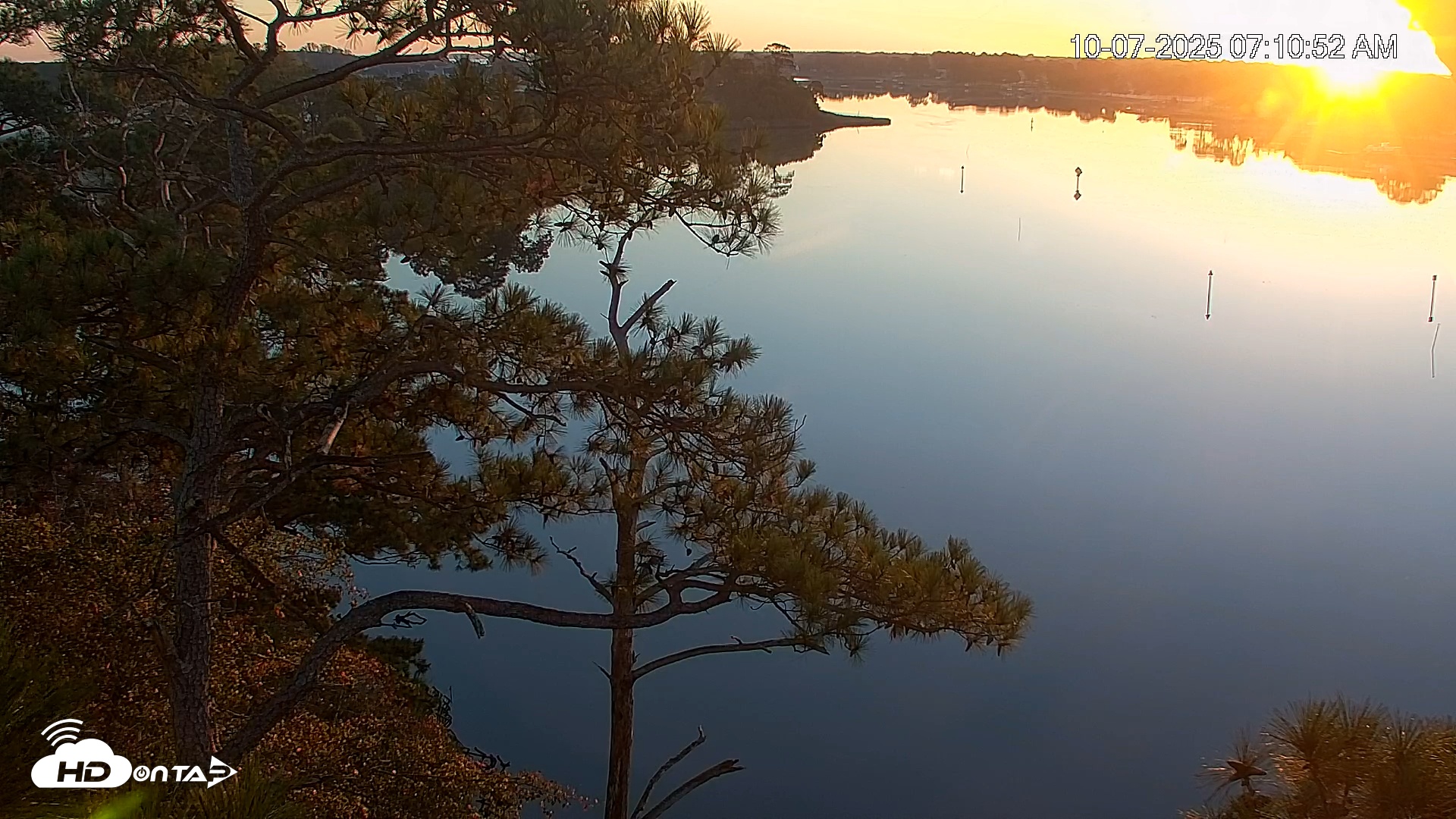 Snapshot of Delaware Botanic Gardens Eagles Live Cams taken Oct 7, 2025, 7:11am EDT