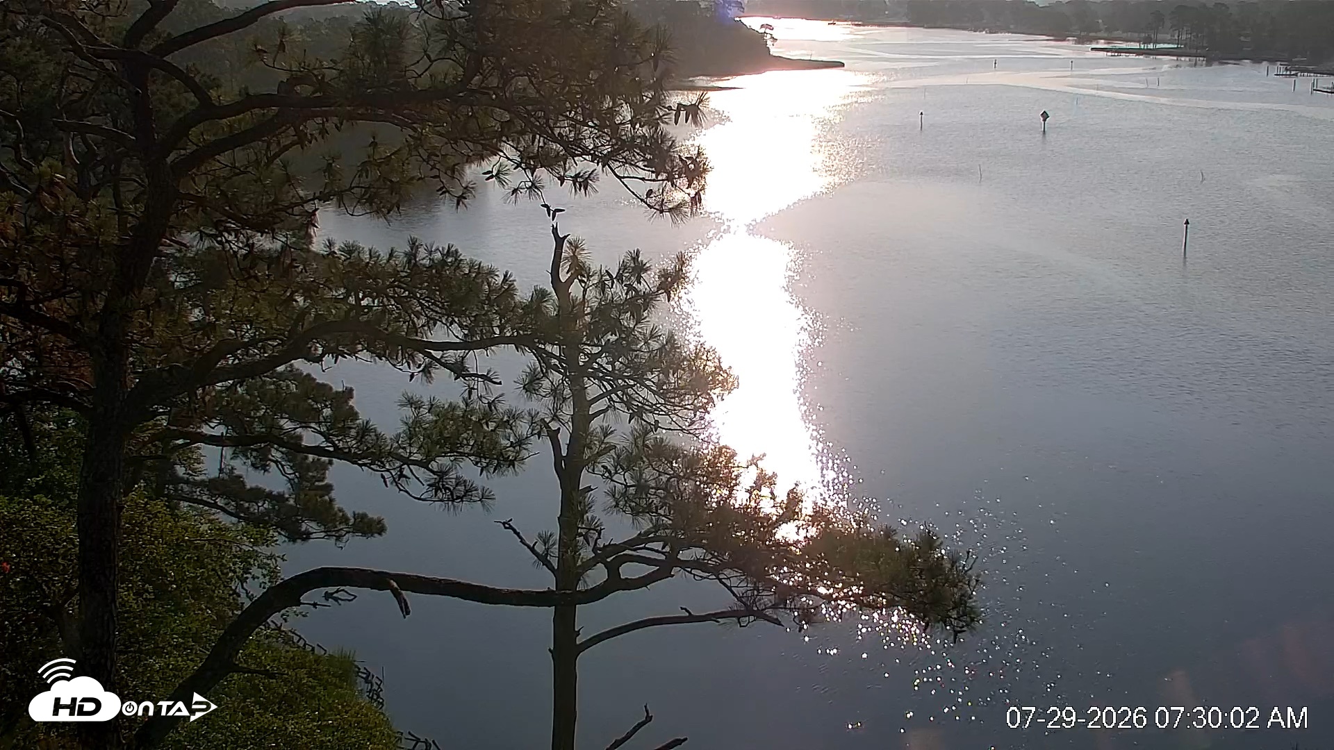 Snapshot of Delaware Botanic Gardens Eagles Live Cams taken Jul 29, 2026, 7:30am EDT