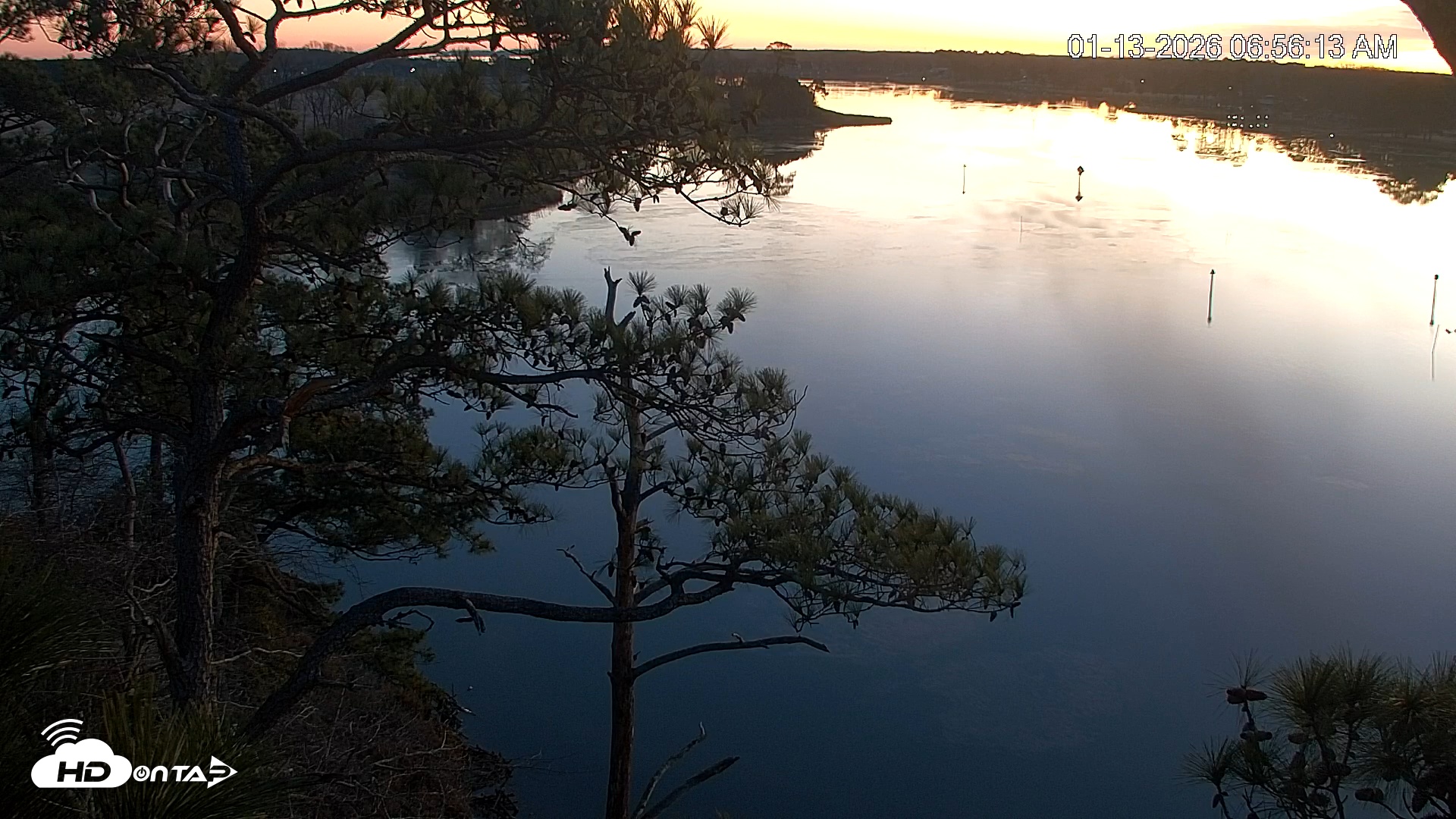 Snapshot of Delaware Botanic Gardens Eagles Live Cams taken Jan 13, 2026, 6:56am EST
