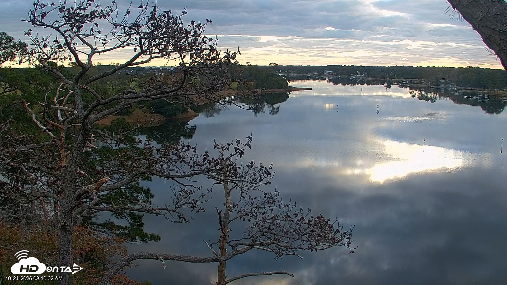 Snapshot of Delaware Botanic Gardens Eagles Live Cams taken Oct 24, 2026, 8:11am EDT