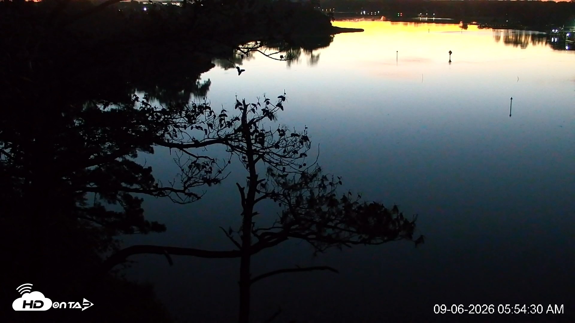 Snapshot of Delaware Botanic Gardens Eagles Live Cams taken Sep 6, 2026, 5:55am EDT