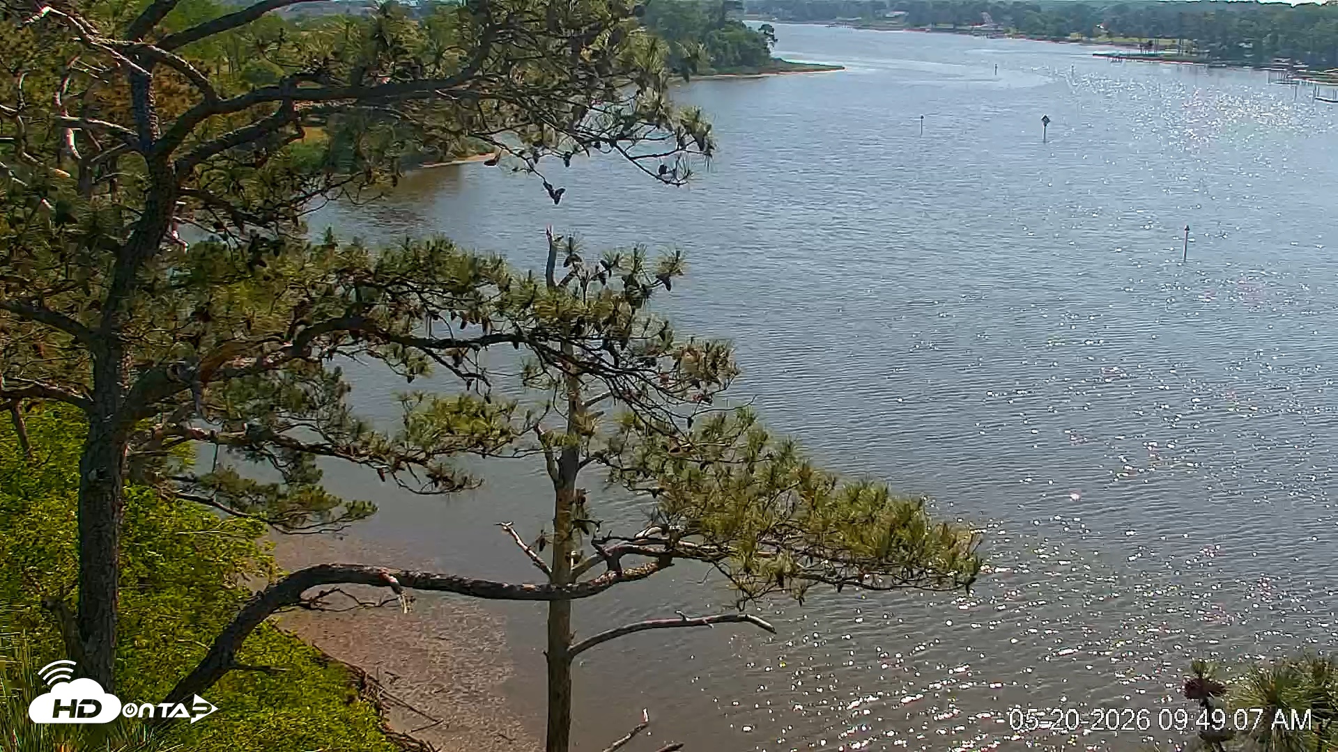 Snapshot of Delaware Botanic Gardens Eagles Live Cams taken May 20, 2026, 9:49am EDT