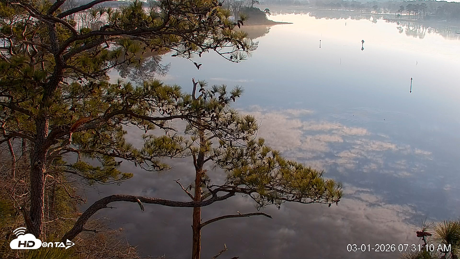 Snapshot of Delaware Botanic Gardens Eagles Live Cams taken Mar 1, 2026, 7:31am EST