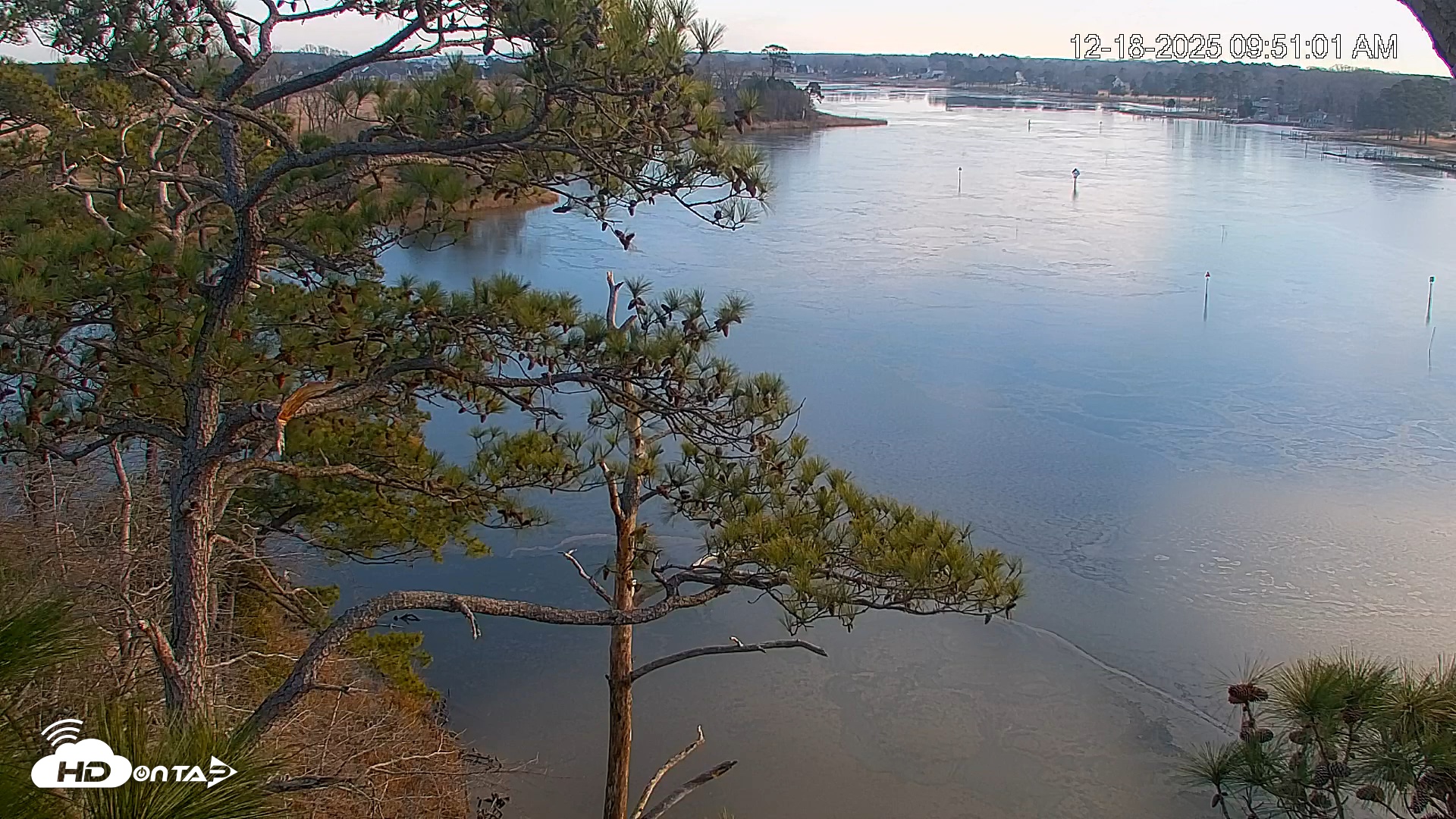 Snapshot of Delaware Botanic Gardens Eagles Live Cams taken Dec 18, 2025, 9:51am EST