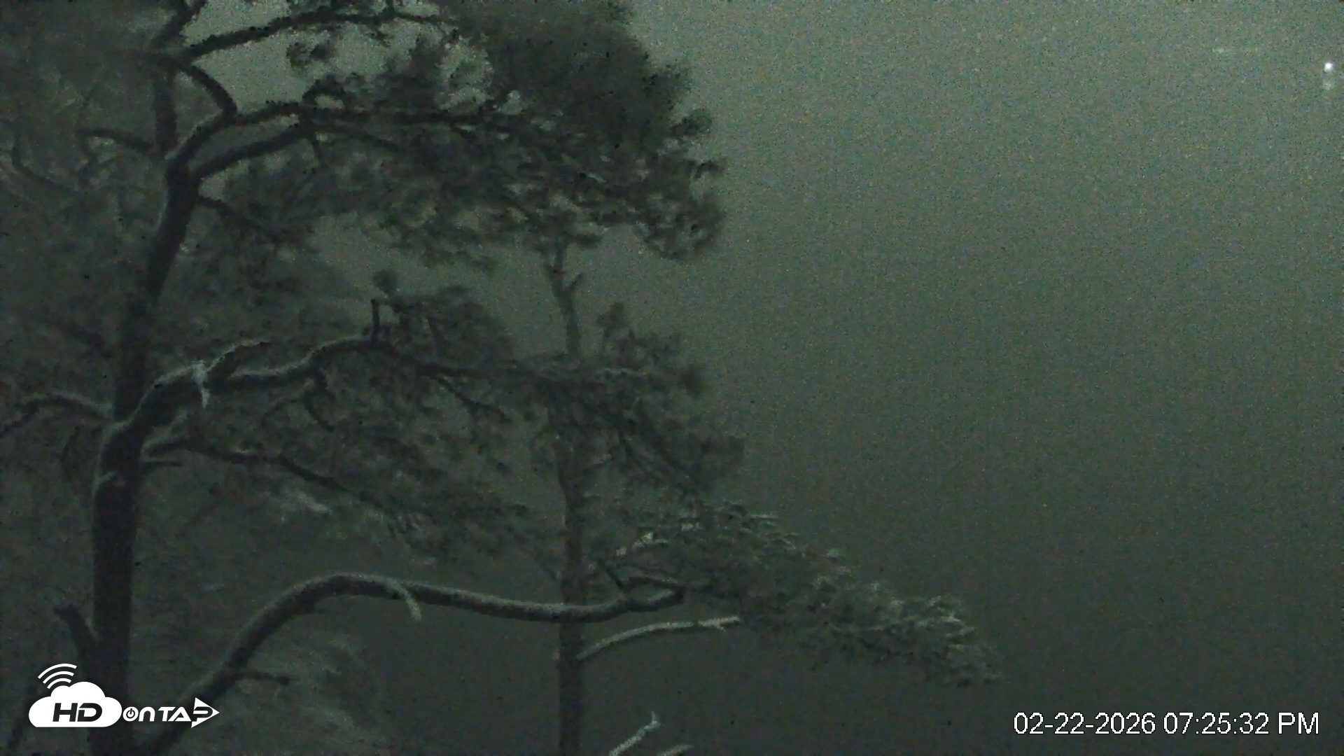 Snapshot of Delaware Botanic Gardens Eagles Live Cams taken Feb 22, 2026, 7:26pm EST