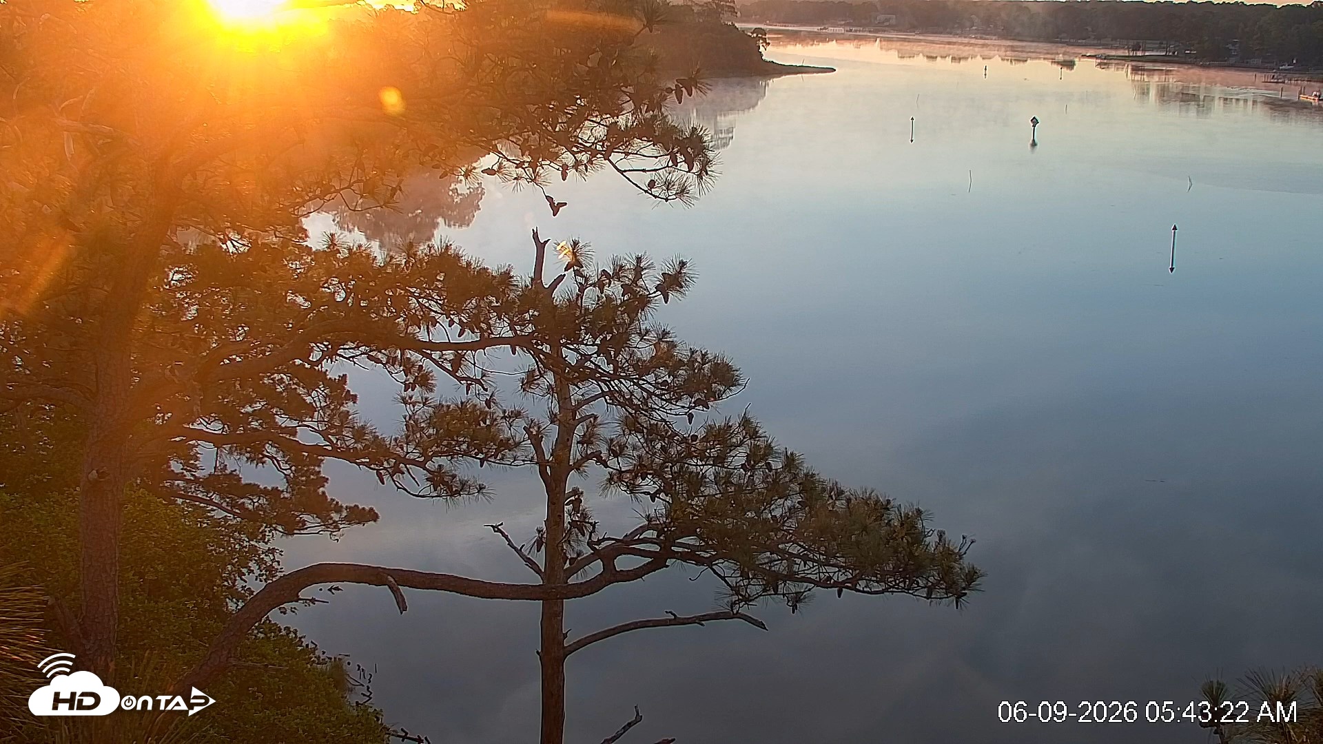 Snapshot of Delaware Botanic Gardens Eagles Live Cams taken Jun 9, 2026, 5:44am EDT