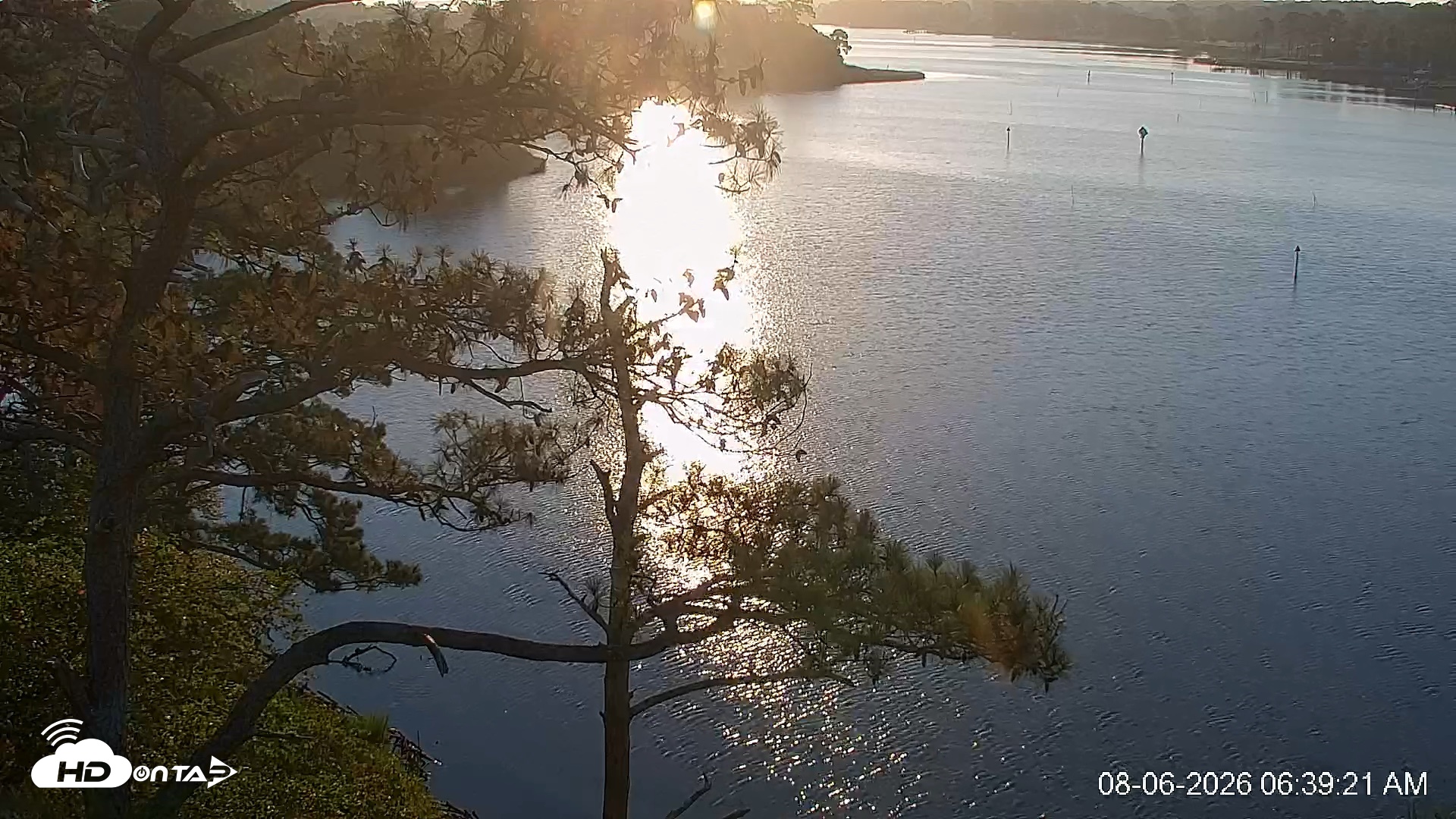 Snapshot of Delaware Botanic Gardens Eagles Live Cams taken Aug 6, 2026, 6:40am EDT
