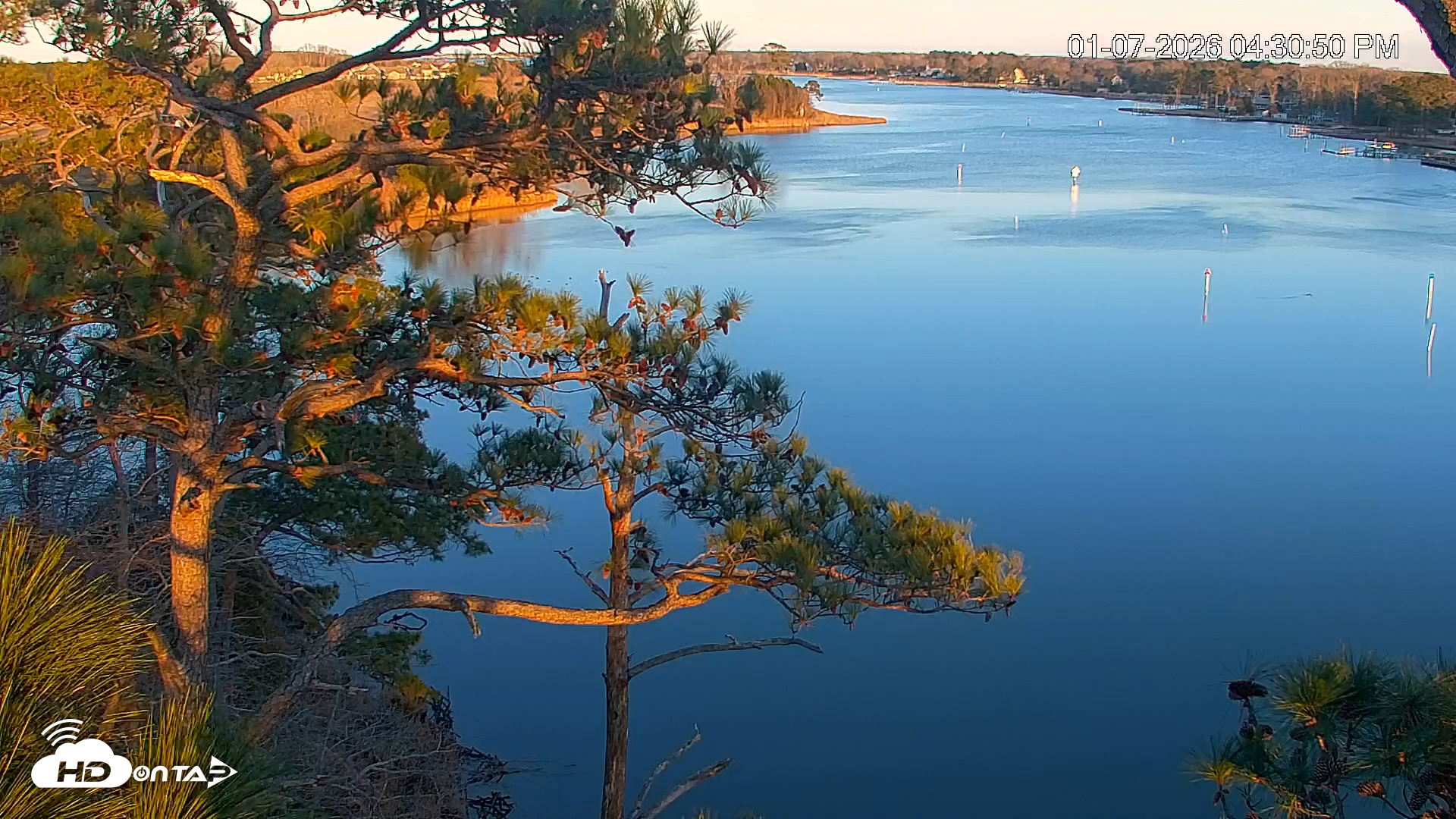 Snapshot of Delaware Botanic Gardens Eagles Live Cams taken Jan 7, 2026, 4:31pm EST