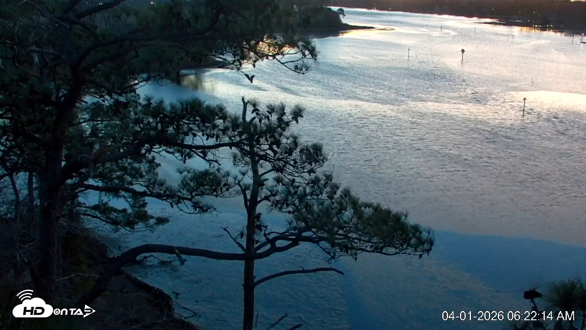 Snapshot of Delaware Botanic Gardens Eagles Live Cams taken Apr 1, 2026, 6:22am EDT