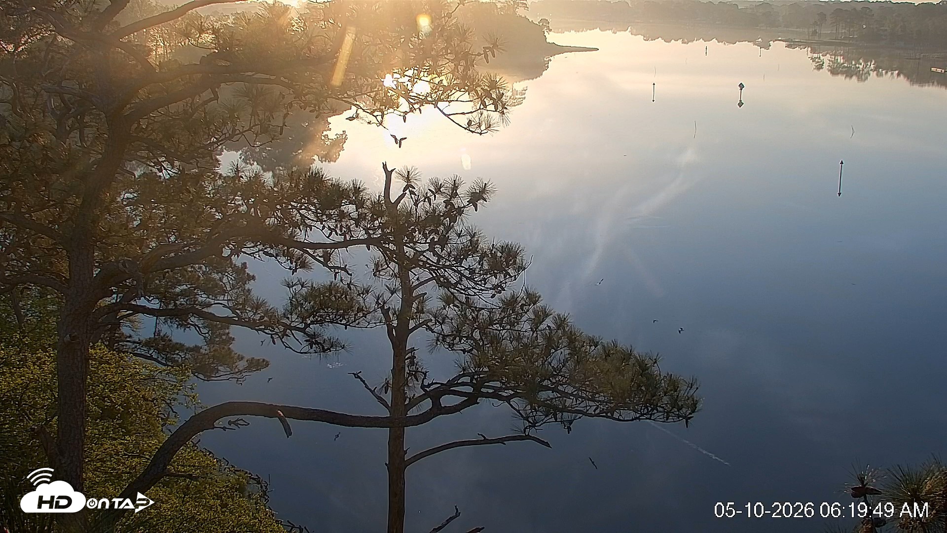 Snapshot of Delaware Botanic Gardens Eagles Live Cams taken May 10, 2026, 6:20am EDT