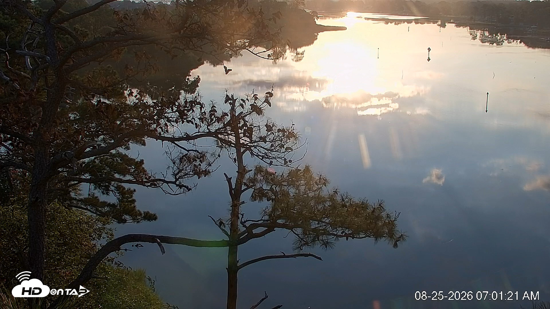 Snapshot of Delaware Botanic Gardens Eagles Live Cams taken Aug 25, 2026, 7:02am EDT