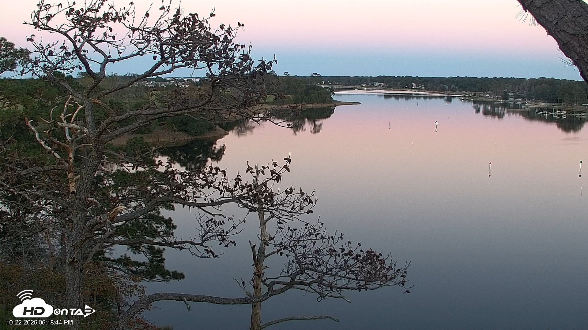 Snapshot of Delaware Botanic Gardens Eagles Live Cams taken Oct 22, 2026, 6:19pm EDT