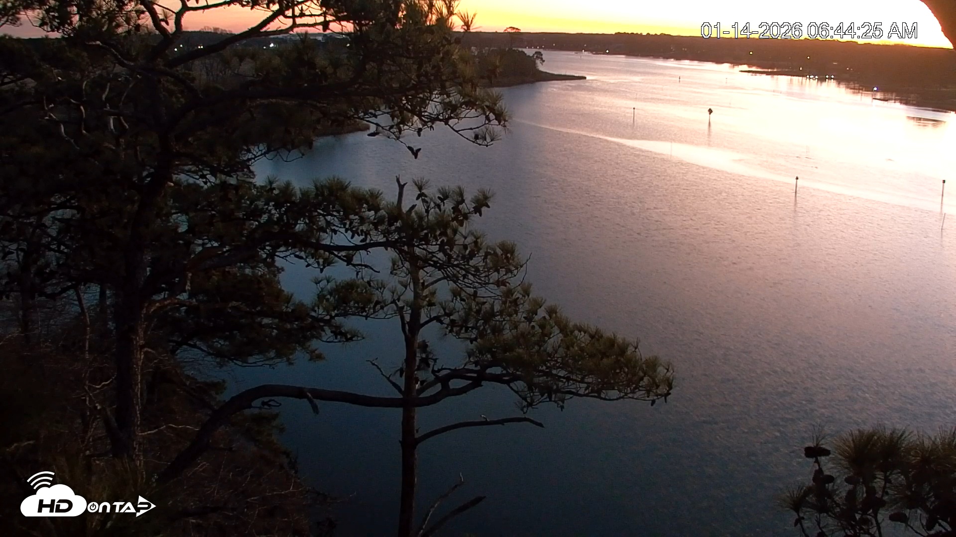 Snapshot of Delaware Botanic Gardens Eagles Live Cams taken Jan 14, 2026, 6:45am EST