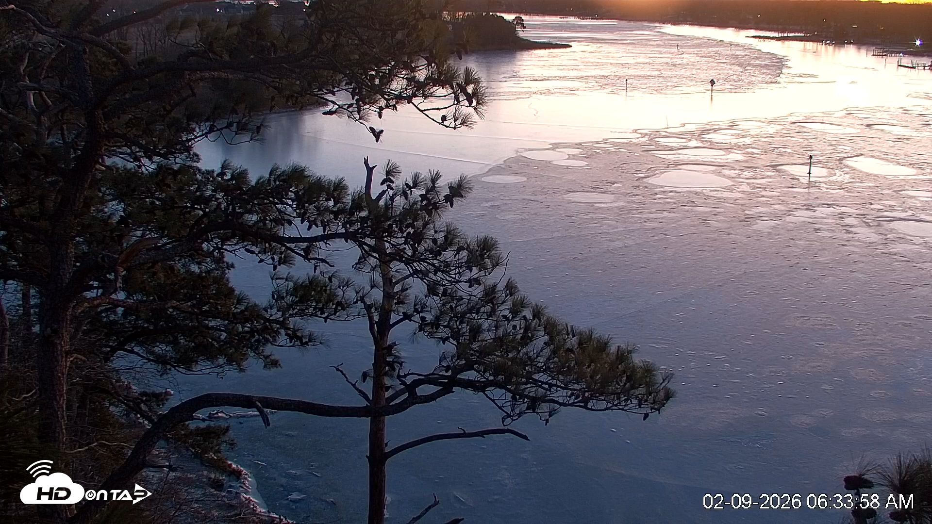 Snapshot of Delaware Botanic Gardens Eagles Live Cams taken Feb 9, 2026, 6:34am EST