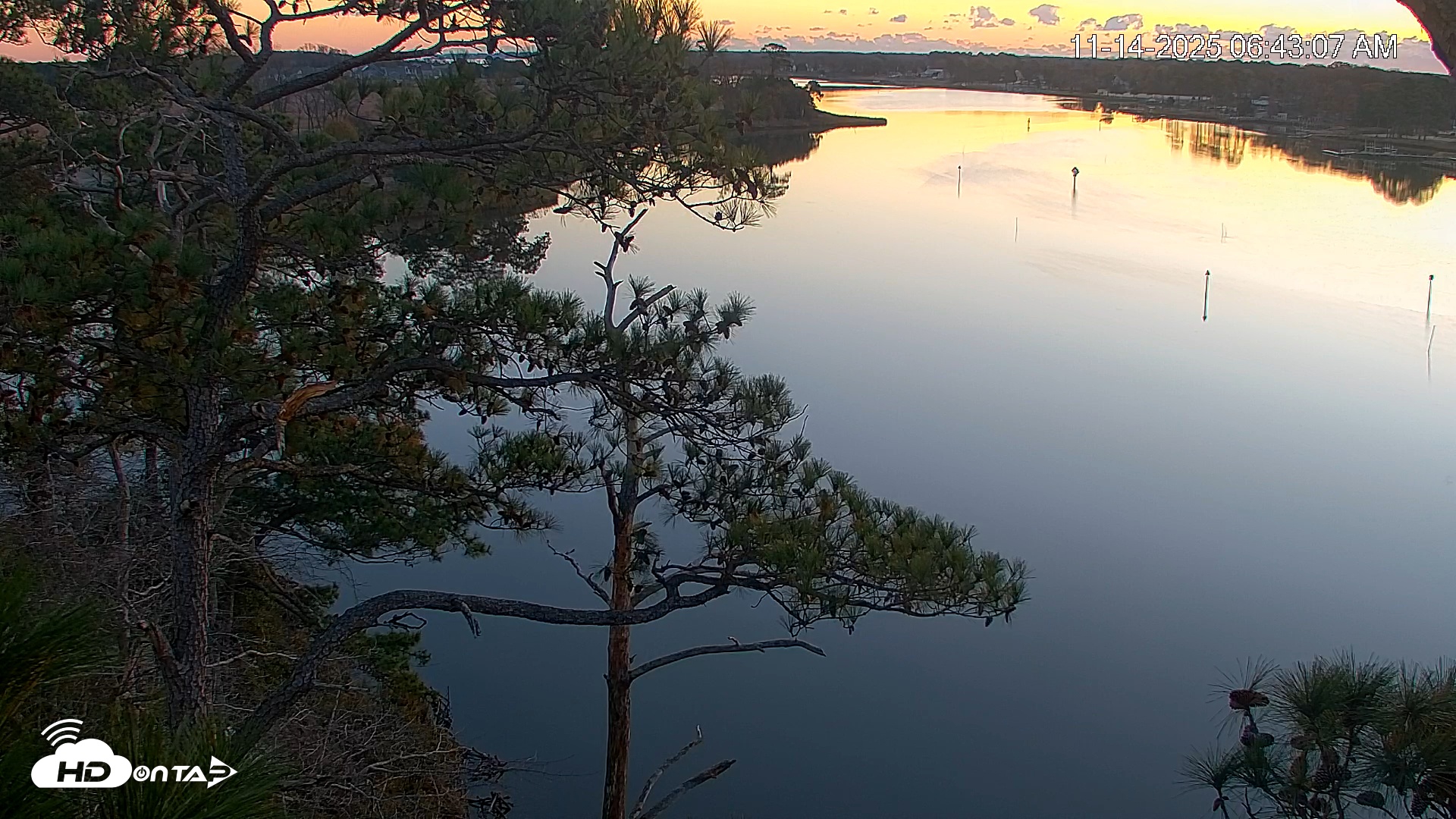 Snapshot of Delaware Botanic Gardens Eagles Live Cams taken Nov 14, 2025, 6:43am EST