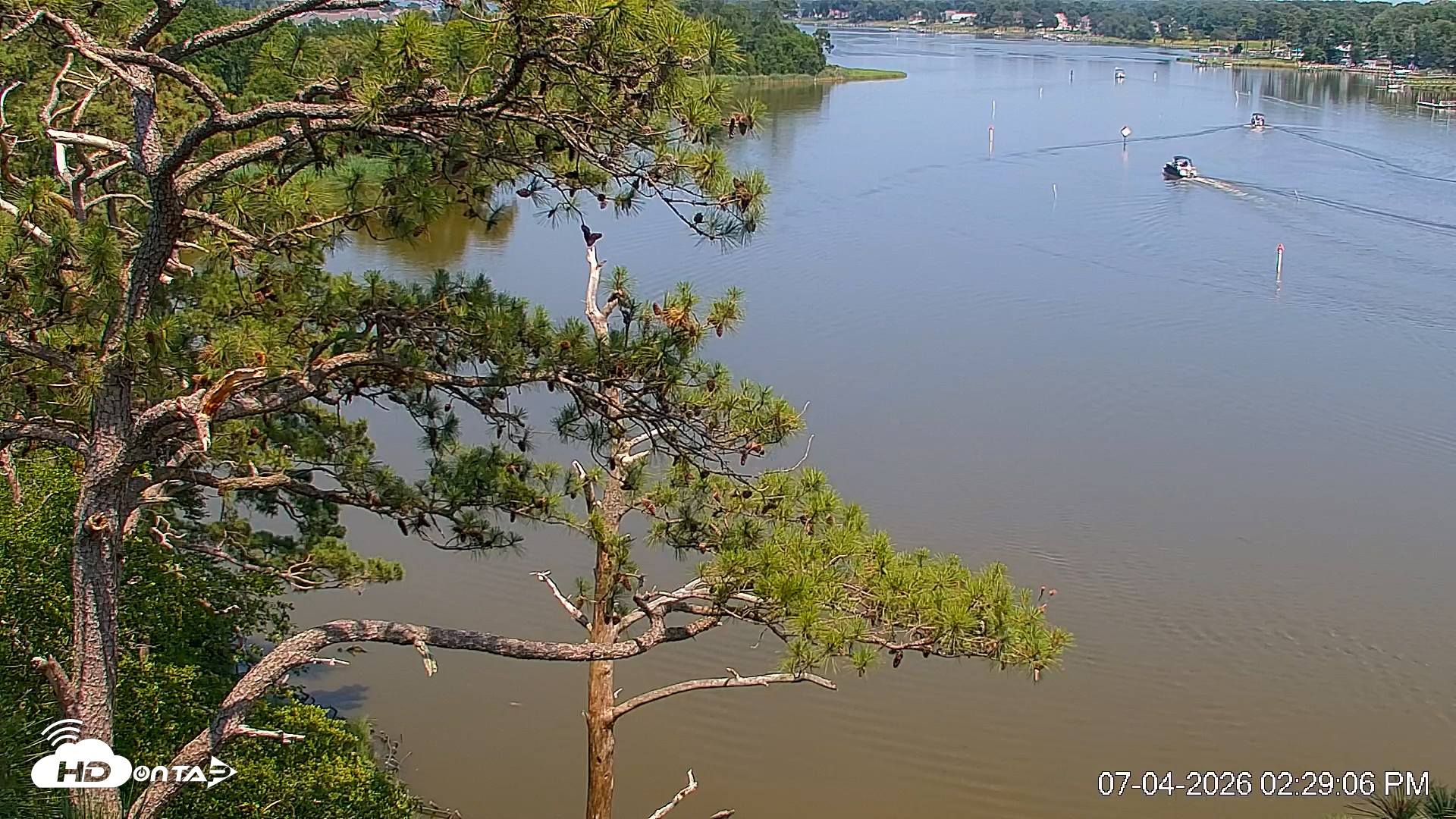 Snapshot of Delaware Botanic Gardens Eagles Live Cams taken Jul 4, 2026, 2:30pm EDT