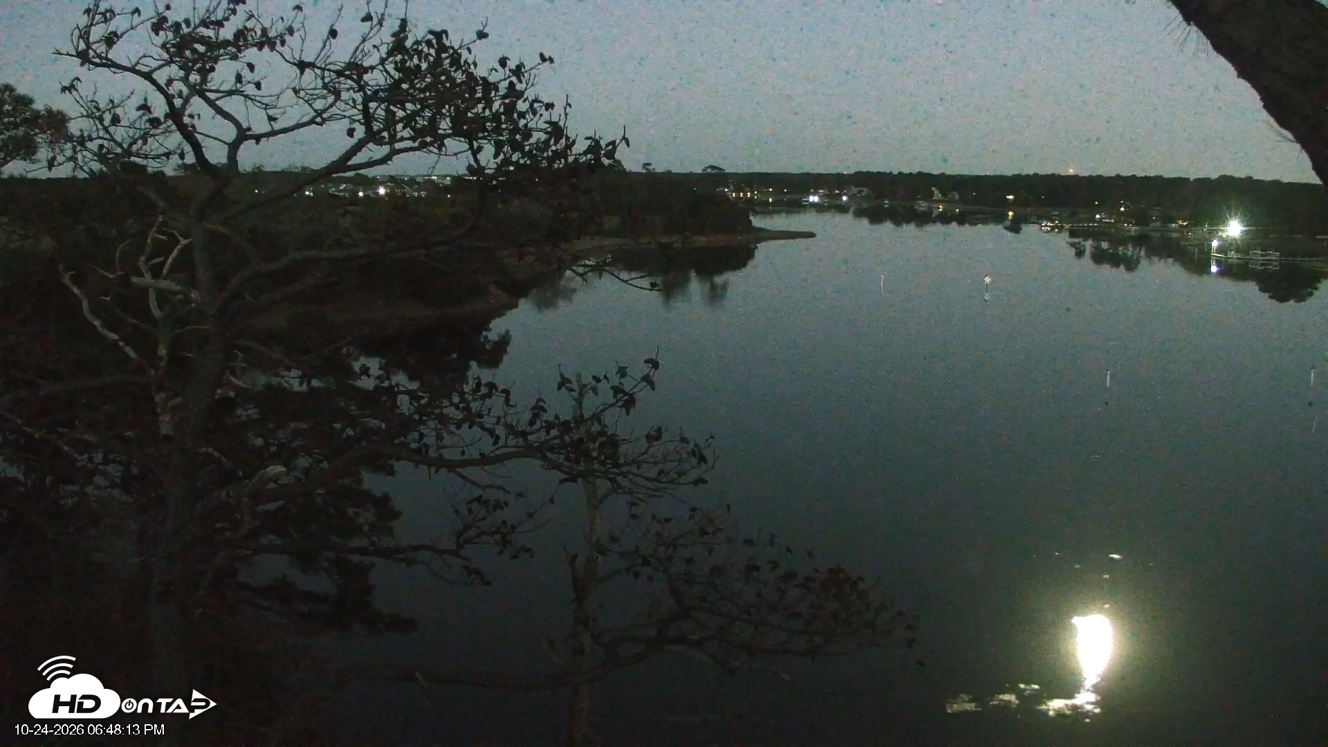Snapshot of Delaware Botanic Gardens Eagles Live Cams taken Oct 24, 2026, 6:50pm EDT