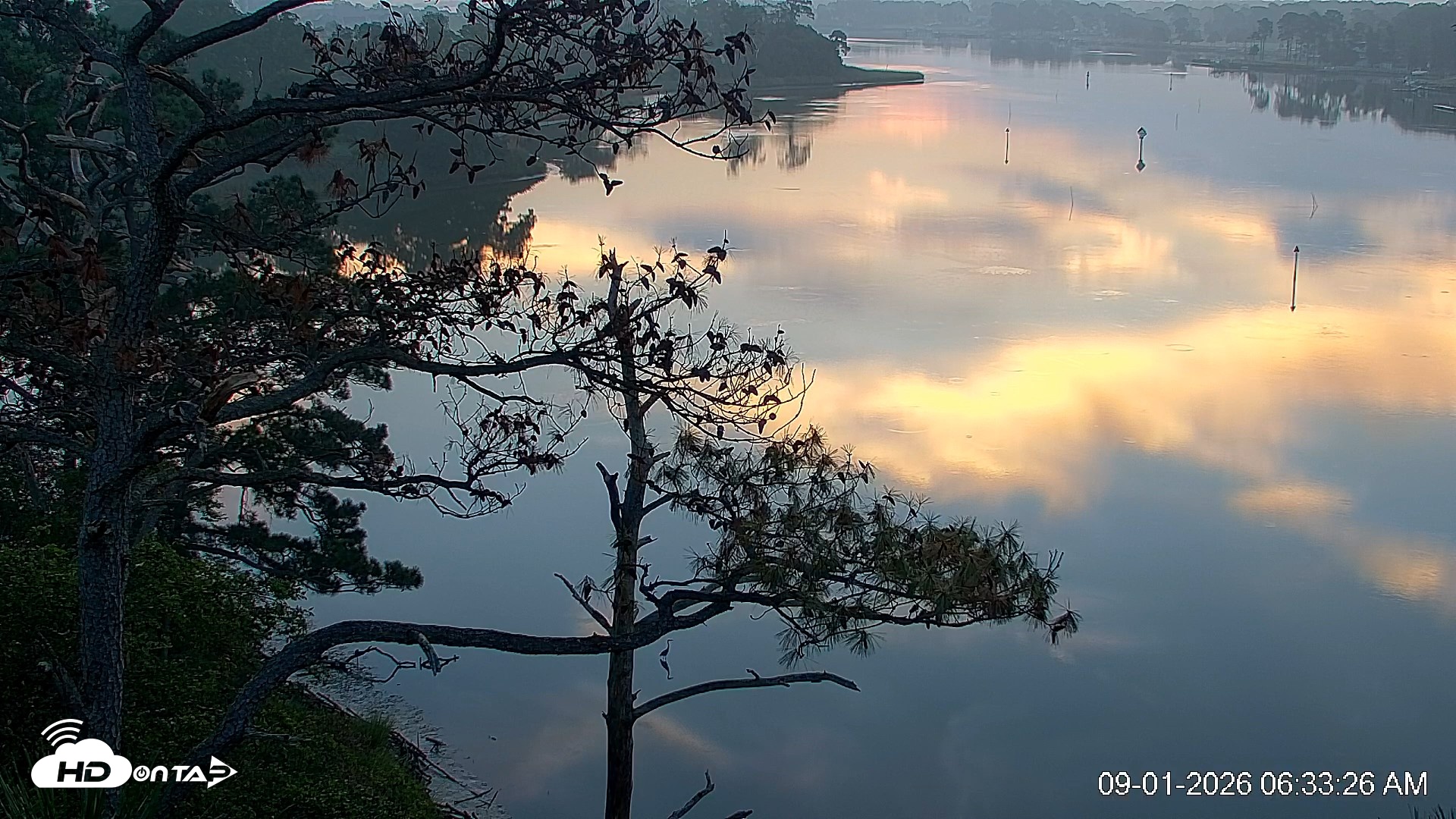 Snapshot of Delaware Botanic Gardens Eagles Live Cams taken Sep 1, 2026, 6:34am EDT