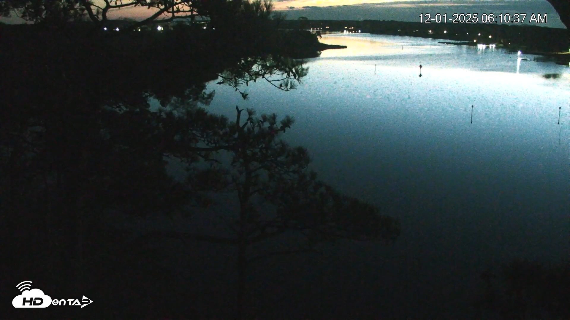 Snapshot of Delaware Botanic Gardens Eagles Live Cams taken Dec 1, 2025, 6:11am EST