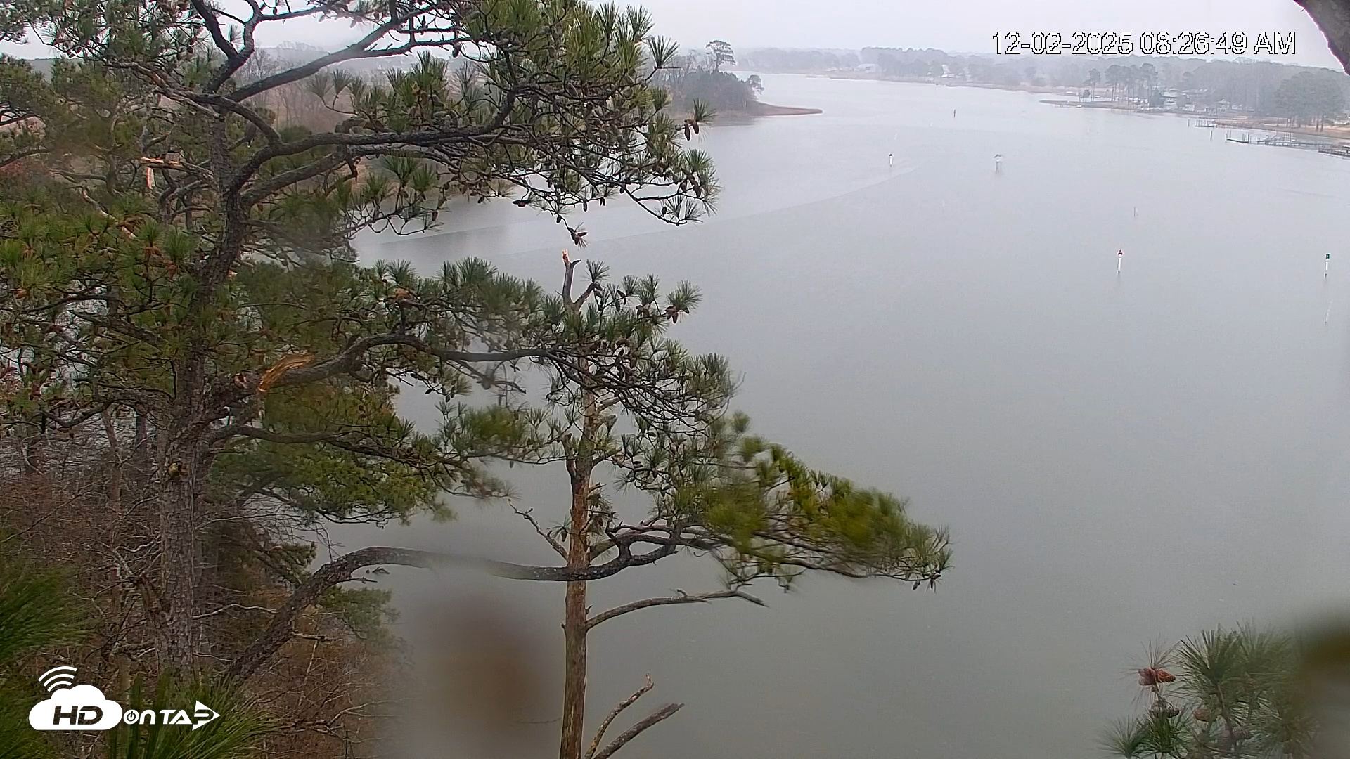 Snapshot of Delaware Botanic Gardens Eagles Live Cams taken Dec 2, 2025, 8:27am EST