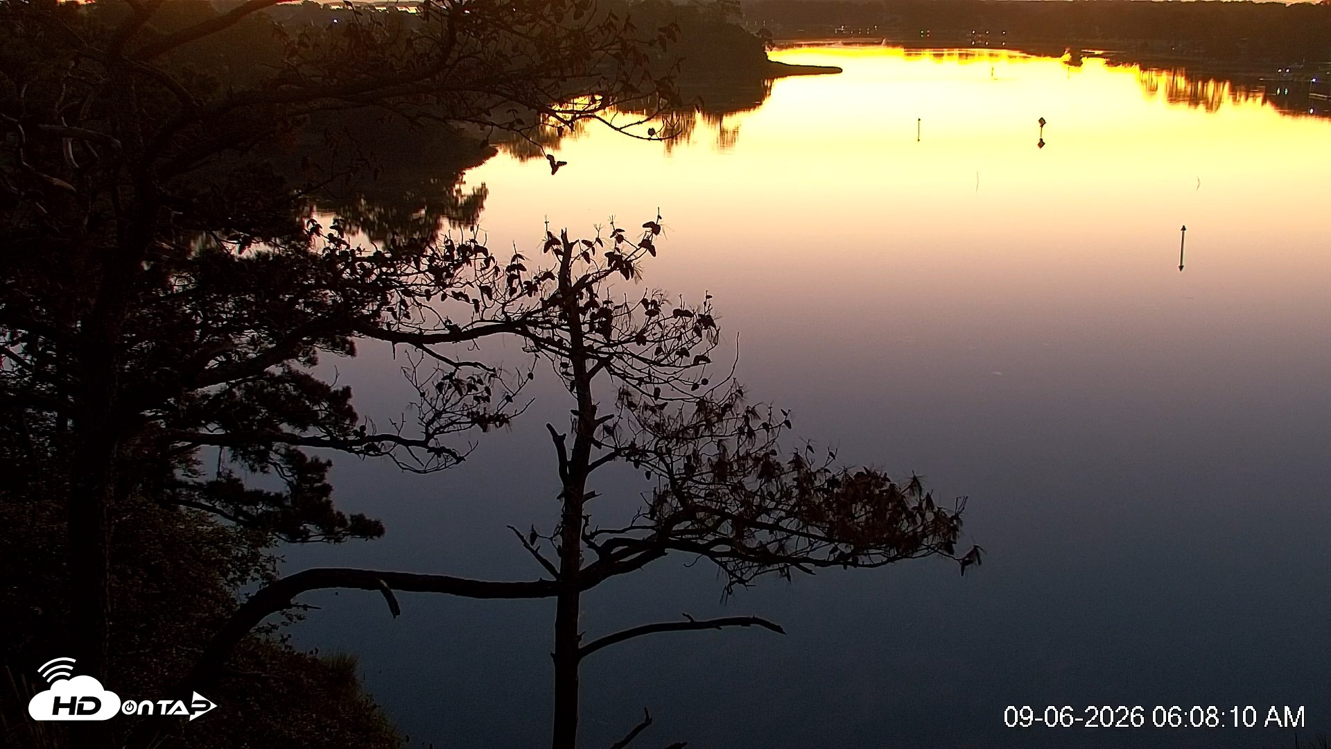 Snapshot of Delaware Botanic Gardens Eagles Live Cams taken Sep 6, 2026, 6:09am EDT