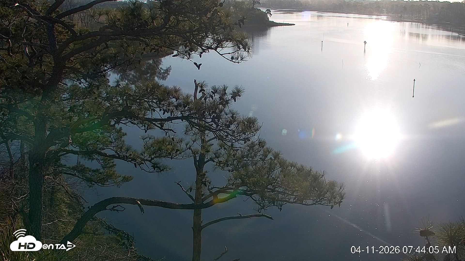 Snapshot of Delaware Botanic Gardens Eagles Live Cams taken Apr 11, 2026, 7:44am EDT