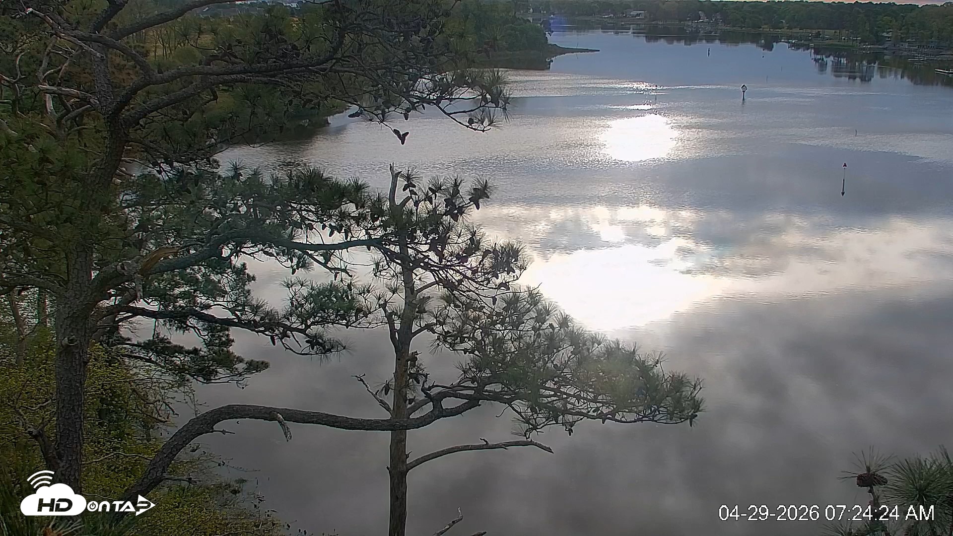 Snapshot of Delaware Botanic Gardens Eagles Live Cams taken Apr 29, 2026, 7:25am EDT