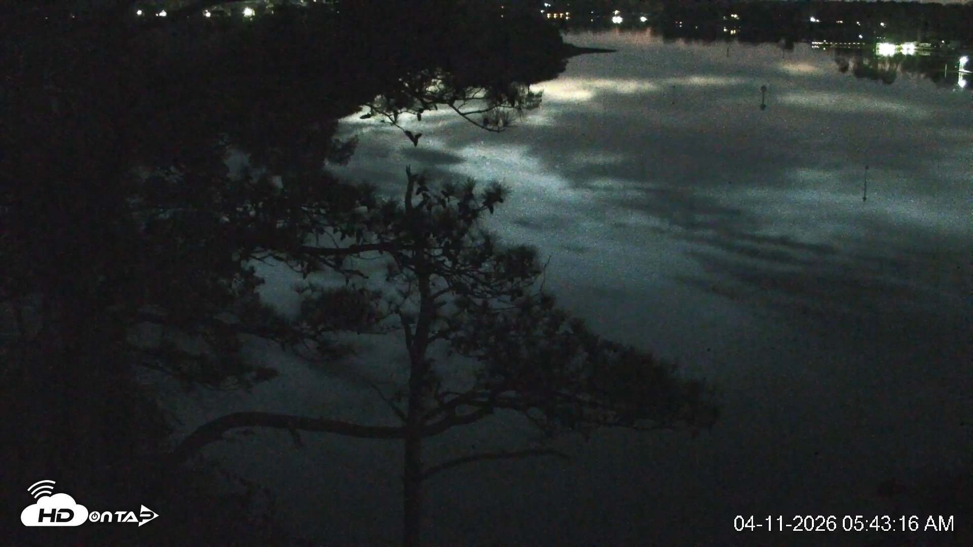 Snapshot of Delaware Botanic Gardens Eagles Live Cams taken Apr 11, 2026, 5:44am EDT