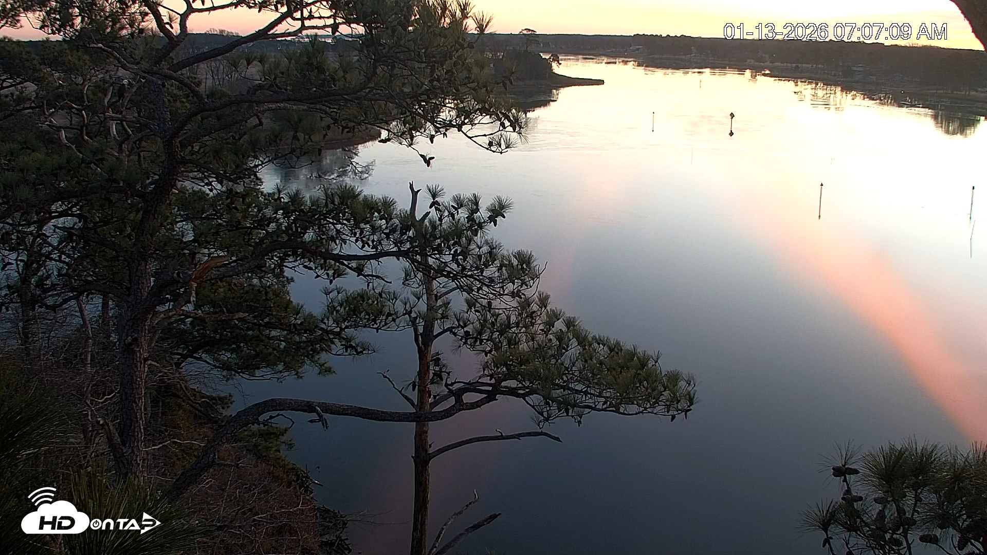 Snapshot of Delaware Botanic Gardens Eagles Live Cams taken Jan 13, 2026, 7:07am EST