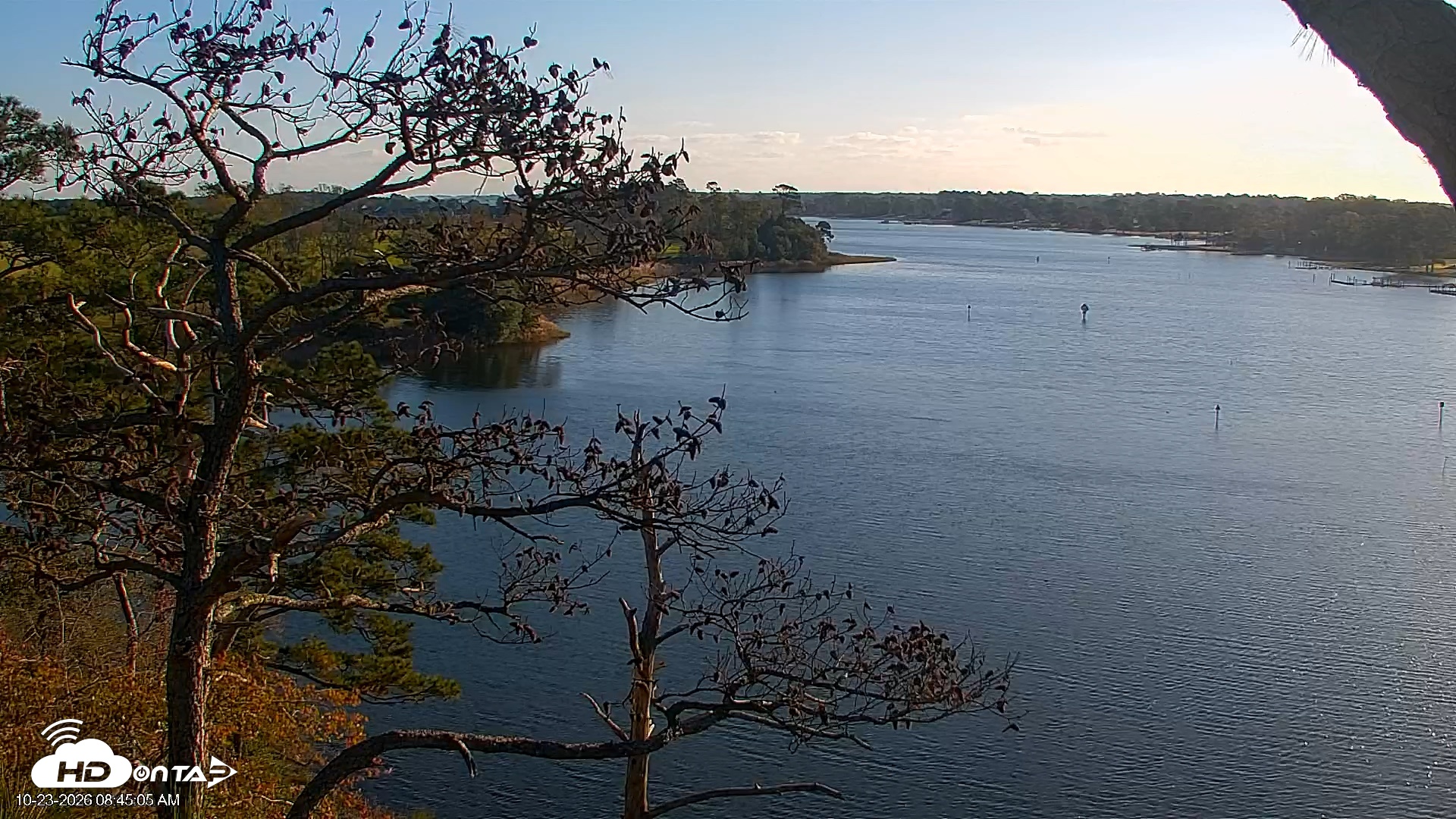 Snapshot of Delaware Botanic Gardens Eagles Live Cams taken Oct 23, 2026, 8:45am EDT