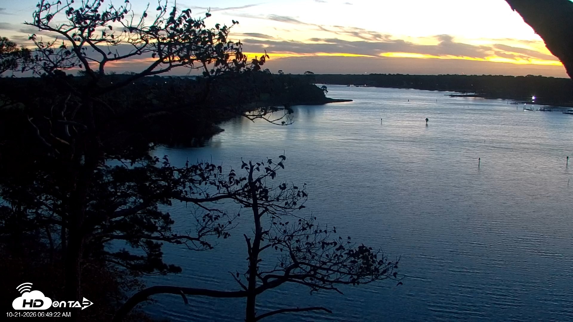 Snapshot of Delaware Botanic Gardens Eagles Live Cams taken Oct 21, 2026, 6:50am EDT