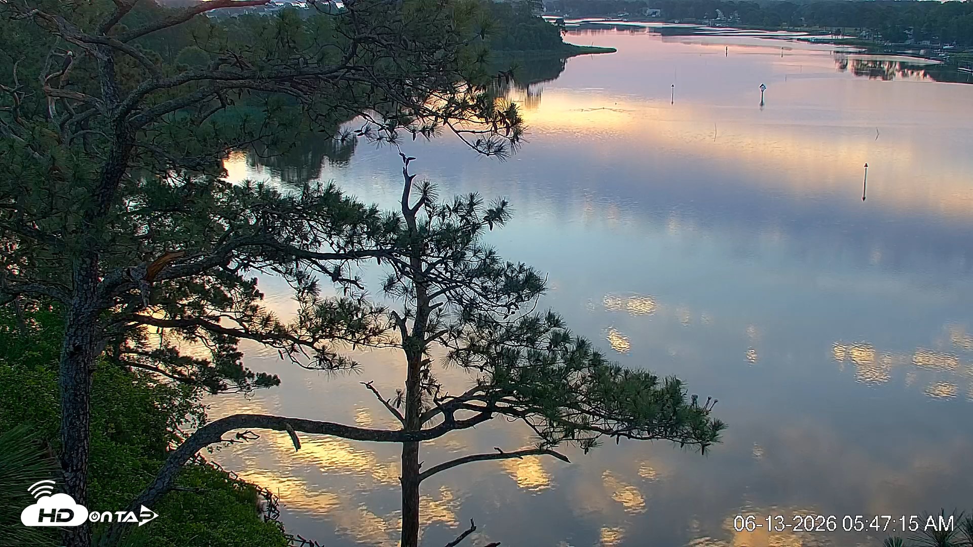 Snapshot of Delaware Botanic Gardens Eagles Live Cams taken Jun 13, 2026, 5:48am EDT