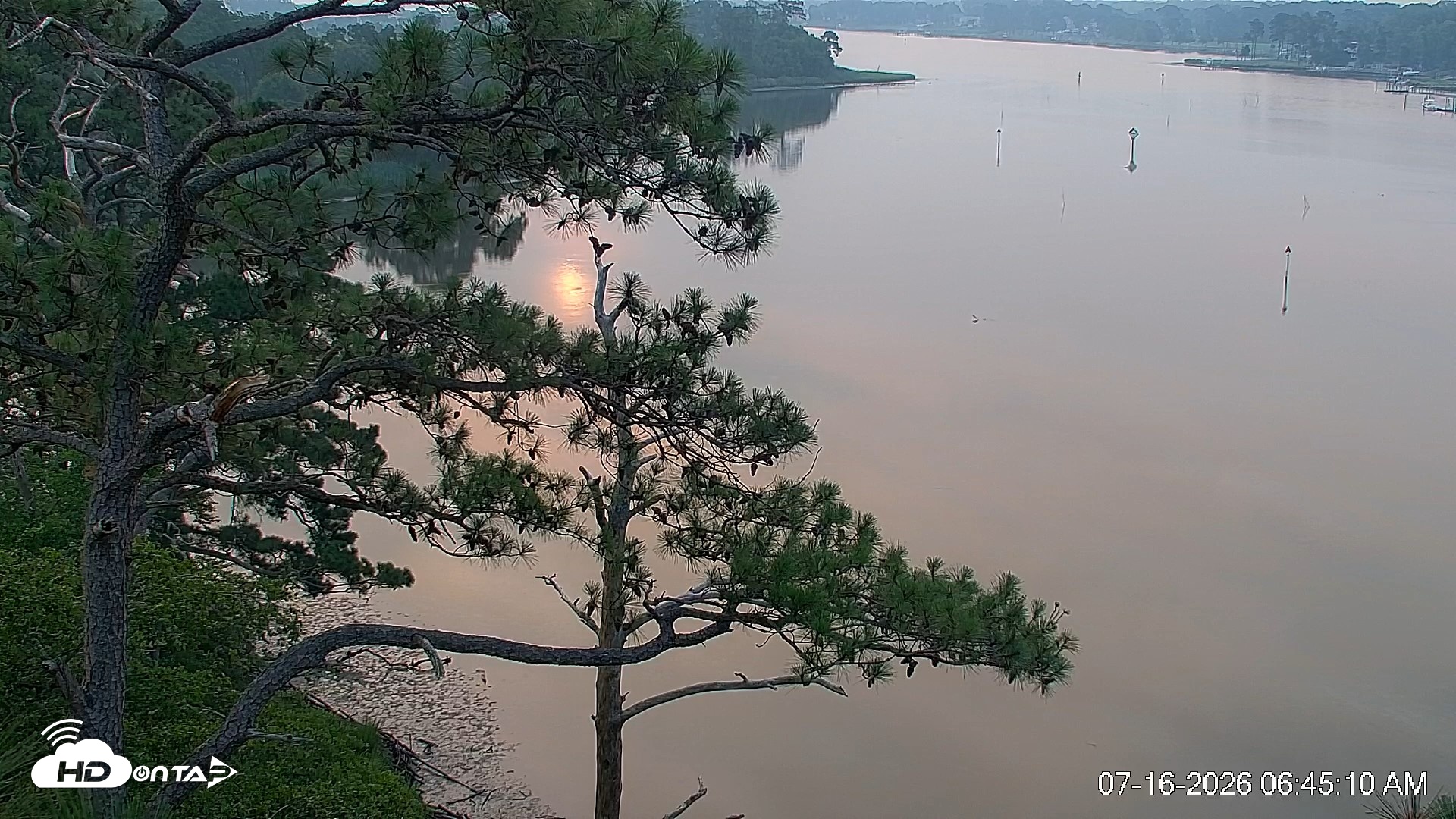 Snapshot of Delaware Botanic Gardens Eagles Live Cams taken Jul 16, 2026, 6:46am EDT