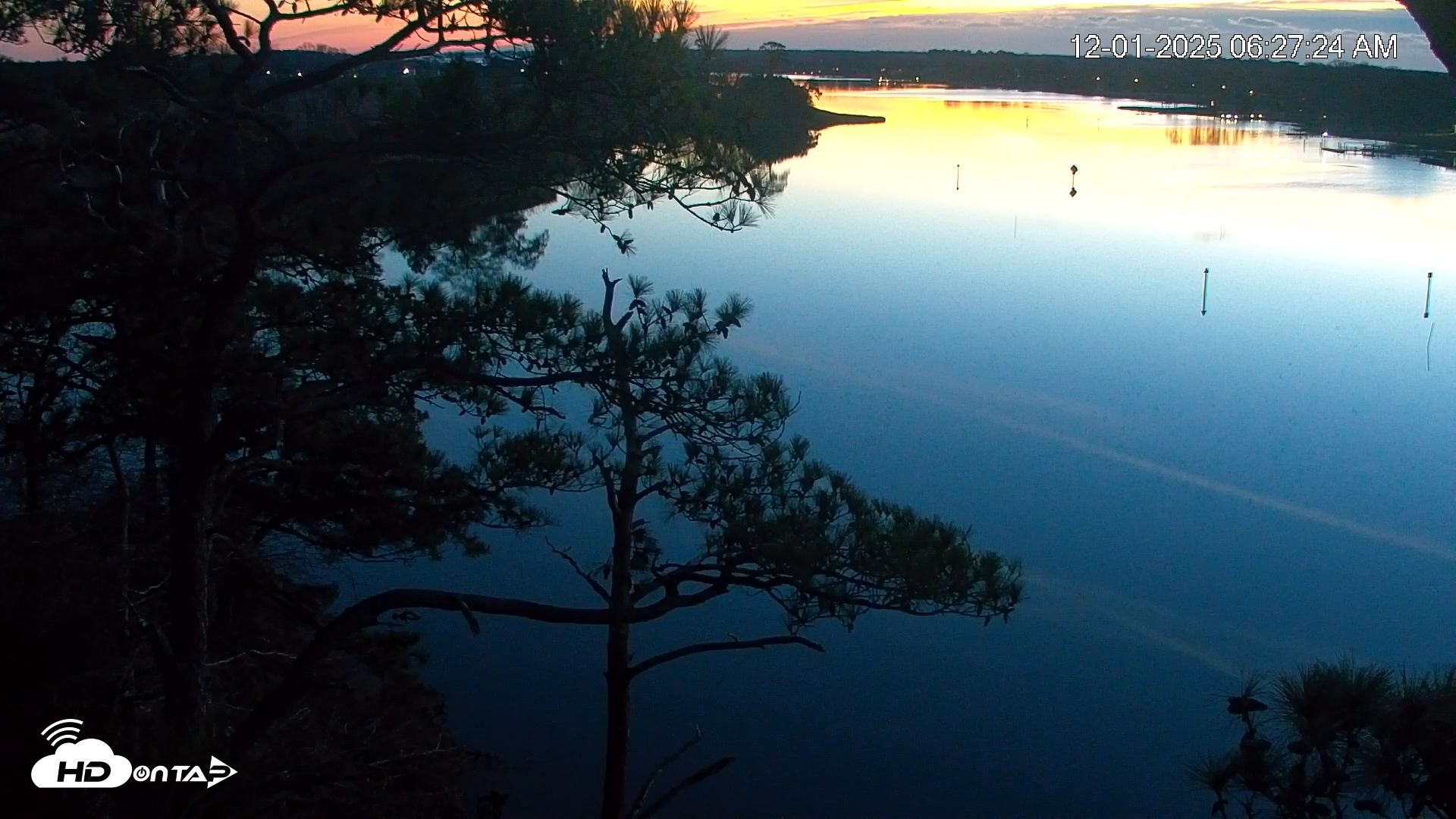 Snapshot of Delaware Botanic Gardens Eagles Live Cams taken Dec 1, 2025, 6:28am EST
