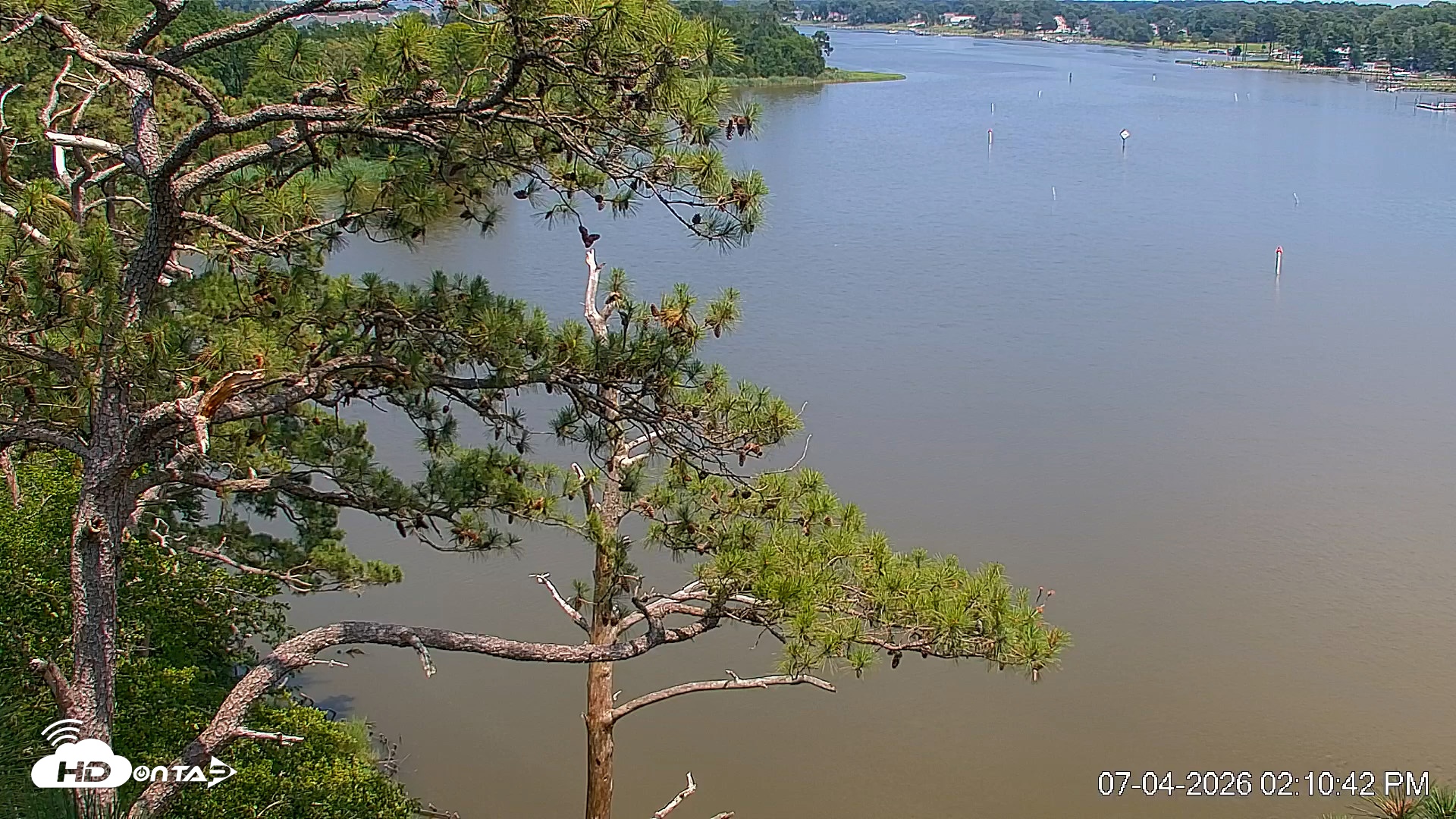 Snapshot of Delaware Botanic Gardens Eagles Live Cams taken Jul 4, 2026, 2:11pm EDT