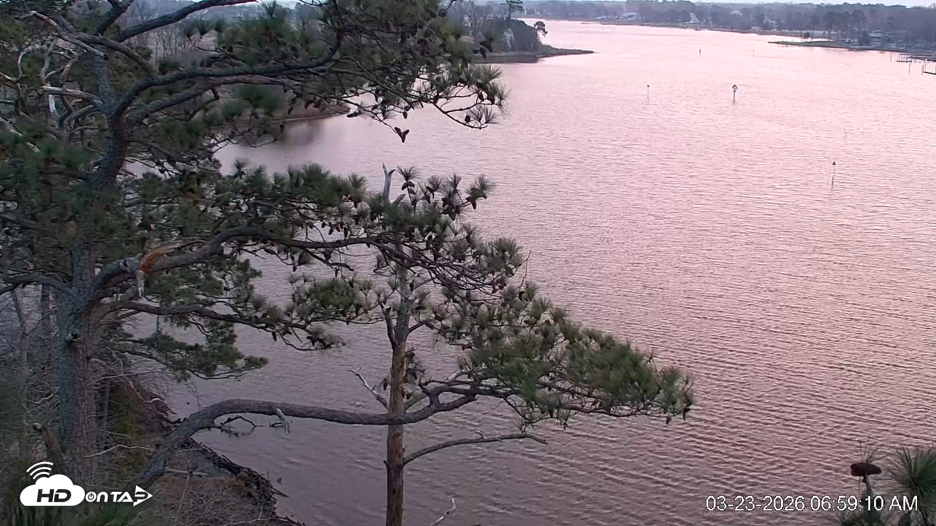 Snapshot of Delaware Botanic Gardens Eagles Live Cams taken Mar 23, 2026, 6:59am EDT