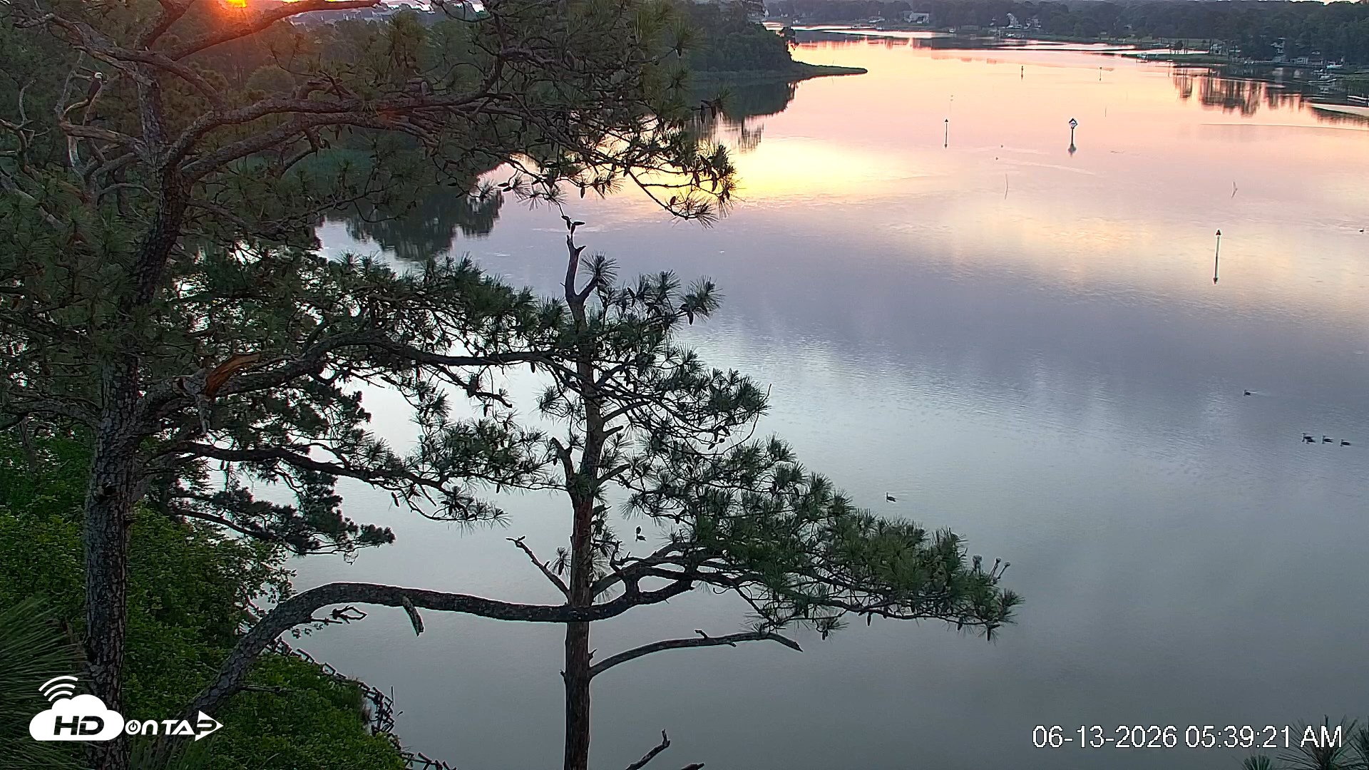 Snapshot of Delaware Botanic Gardens Eagles Live Cams taken Jun 13, 2026, 5:40am EDT