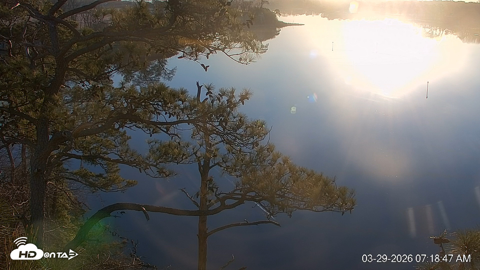 Snapshot of Delaware Botanic Gardens Eagles Live Cams taken Mar 29, 2026, 7:19am EDT