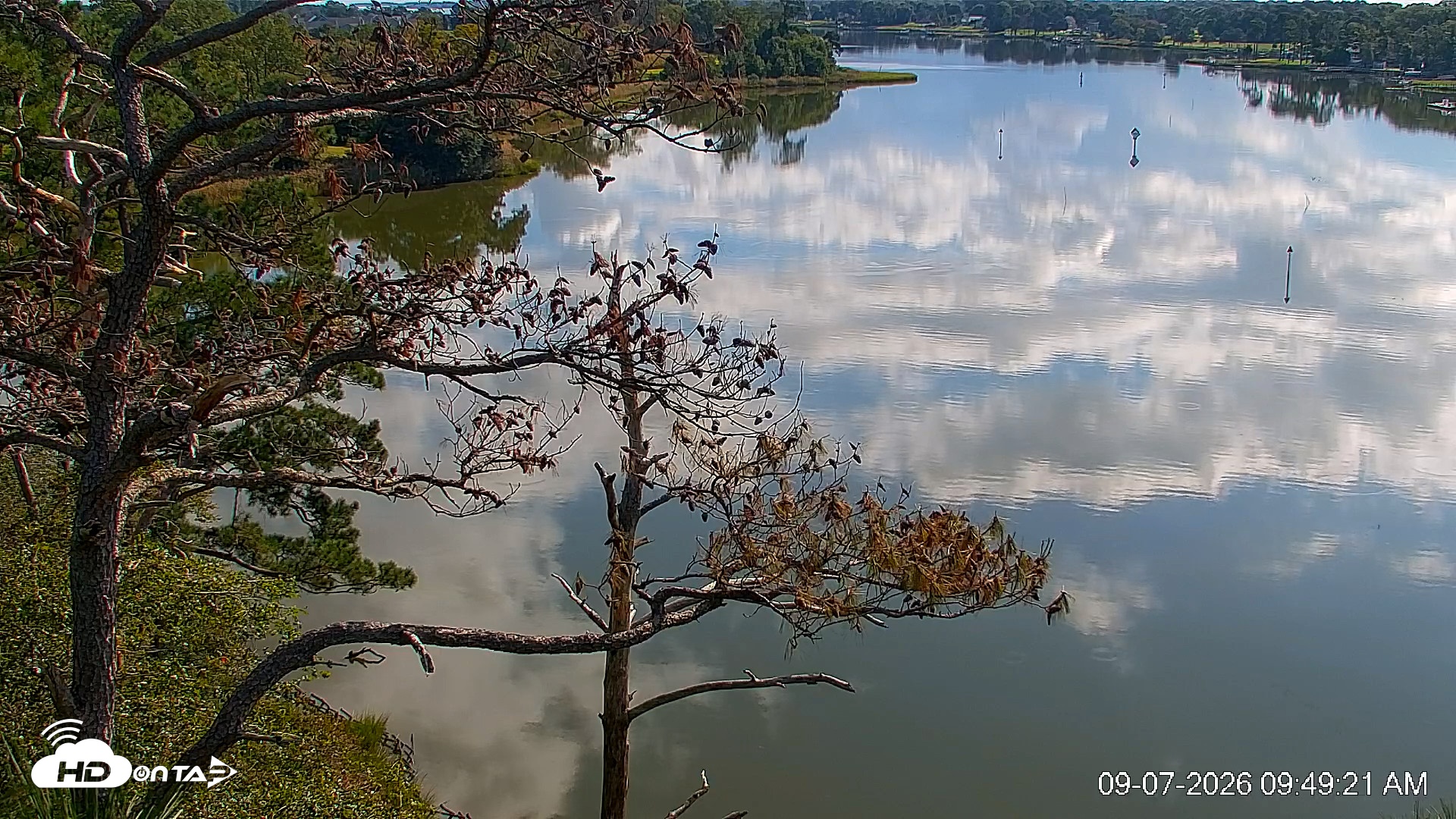 Snapshot of Delaware Botanic Gardens Eagles Live Cams taken Sep 7, 2026, 9:50am EDT