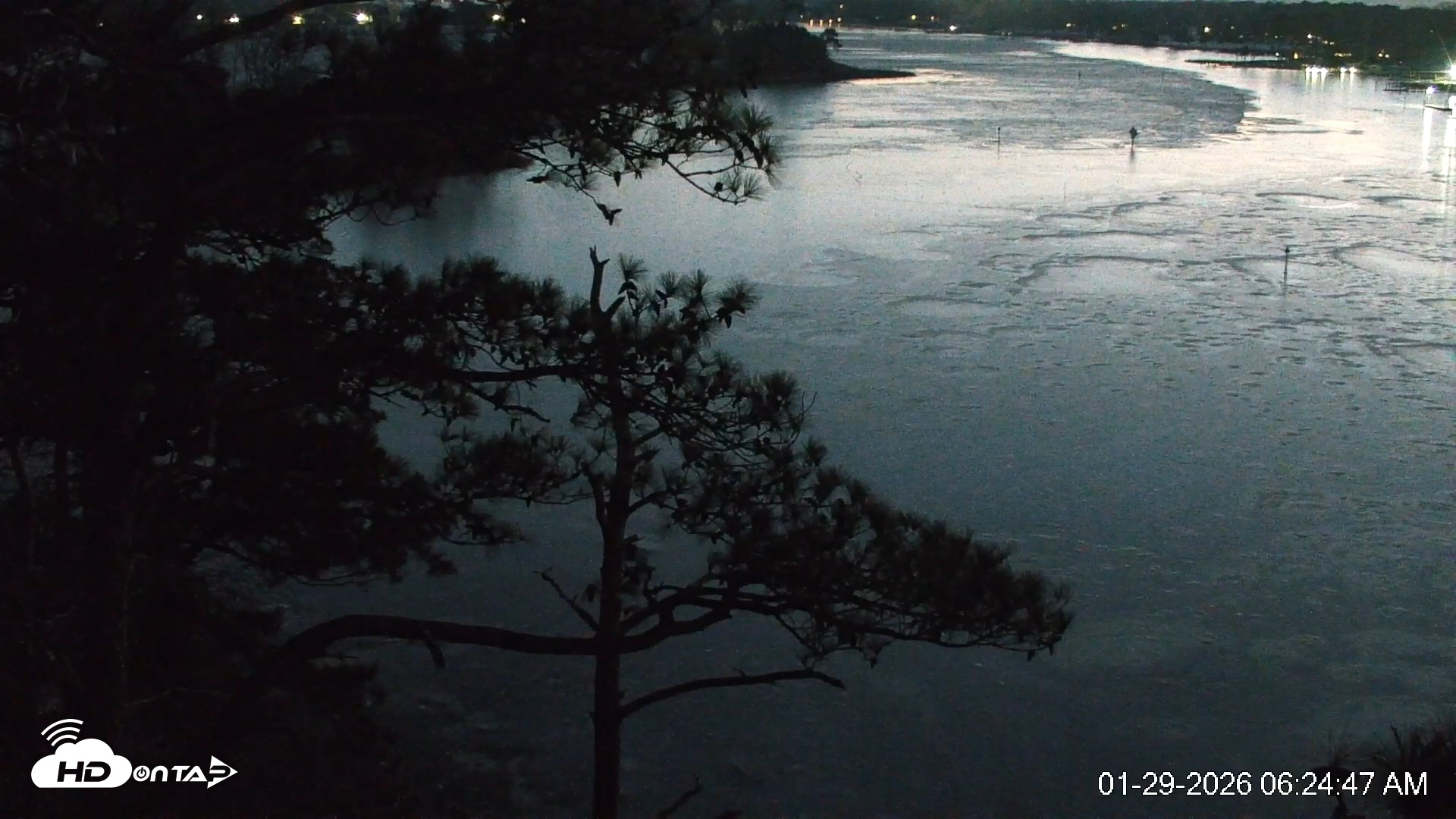 Snapshot of Delaware Botanic Gardens Eagles Live Cams taken Jan 29, 2026, 6:25am EST