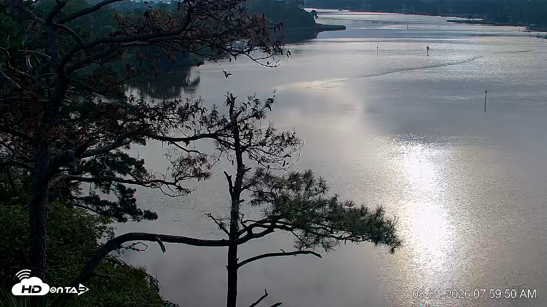 Snapshot of Delaware Botanic Gardens Eagles Live Cams taken Aug 21, 2026, 8:03am EDT