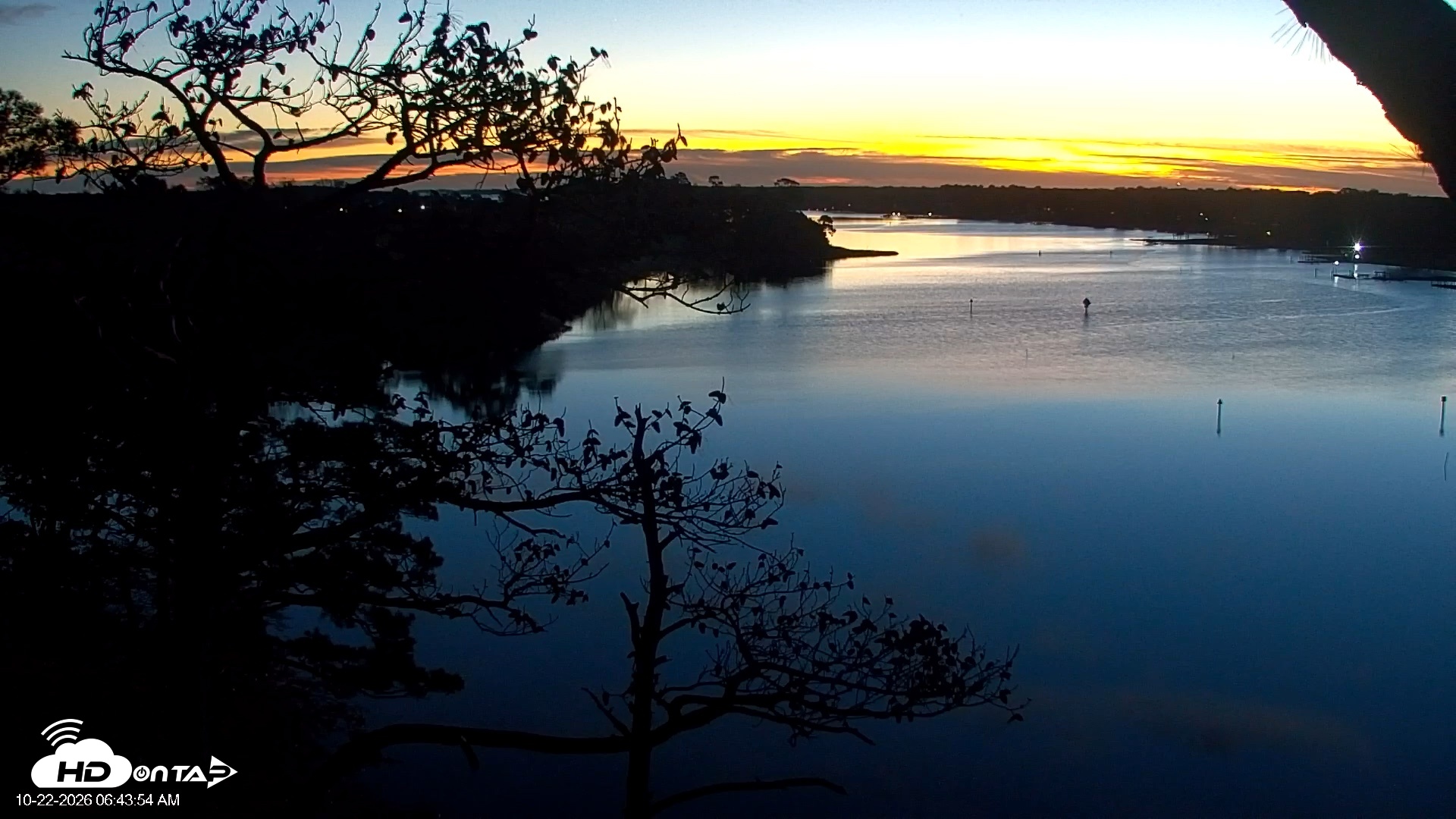 Snapshot of Delaware Botanic Gardens Eagles Live Cams taken Oct 22, 2026, 6:44am EDT